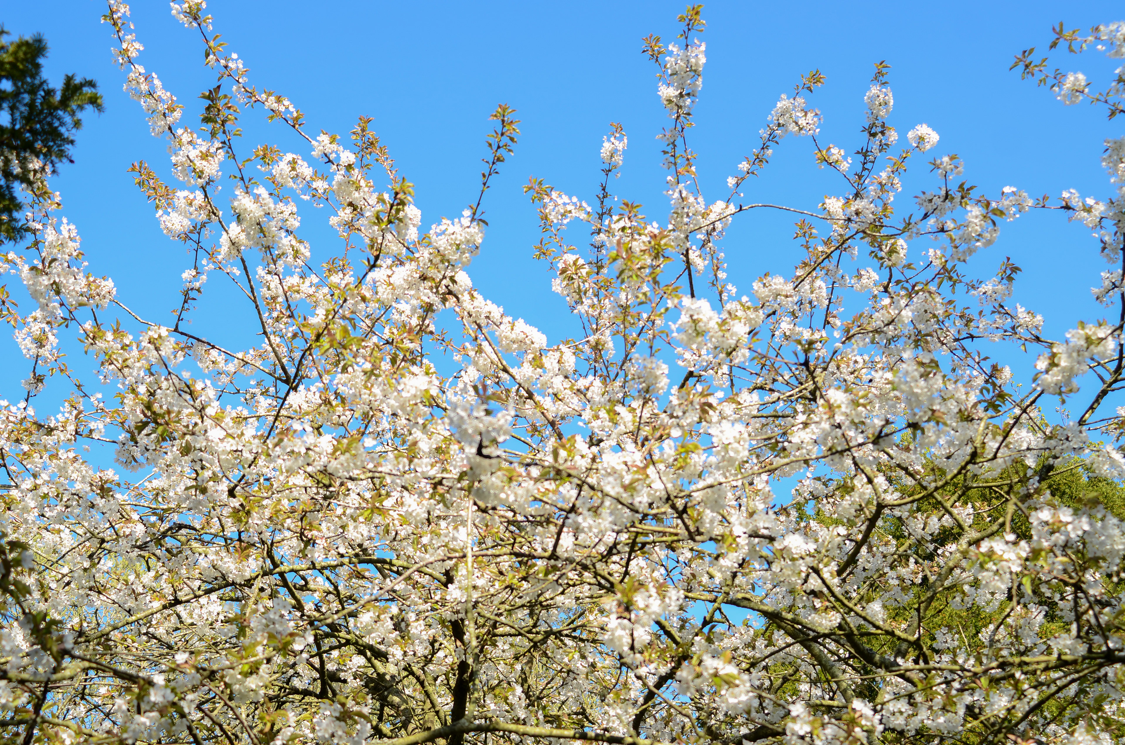 April: Views on my daily exercise