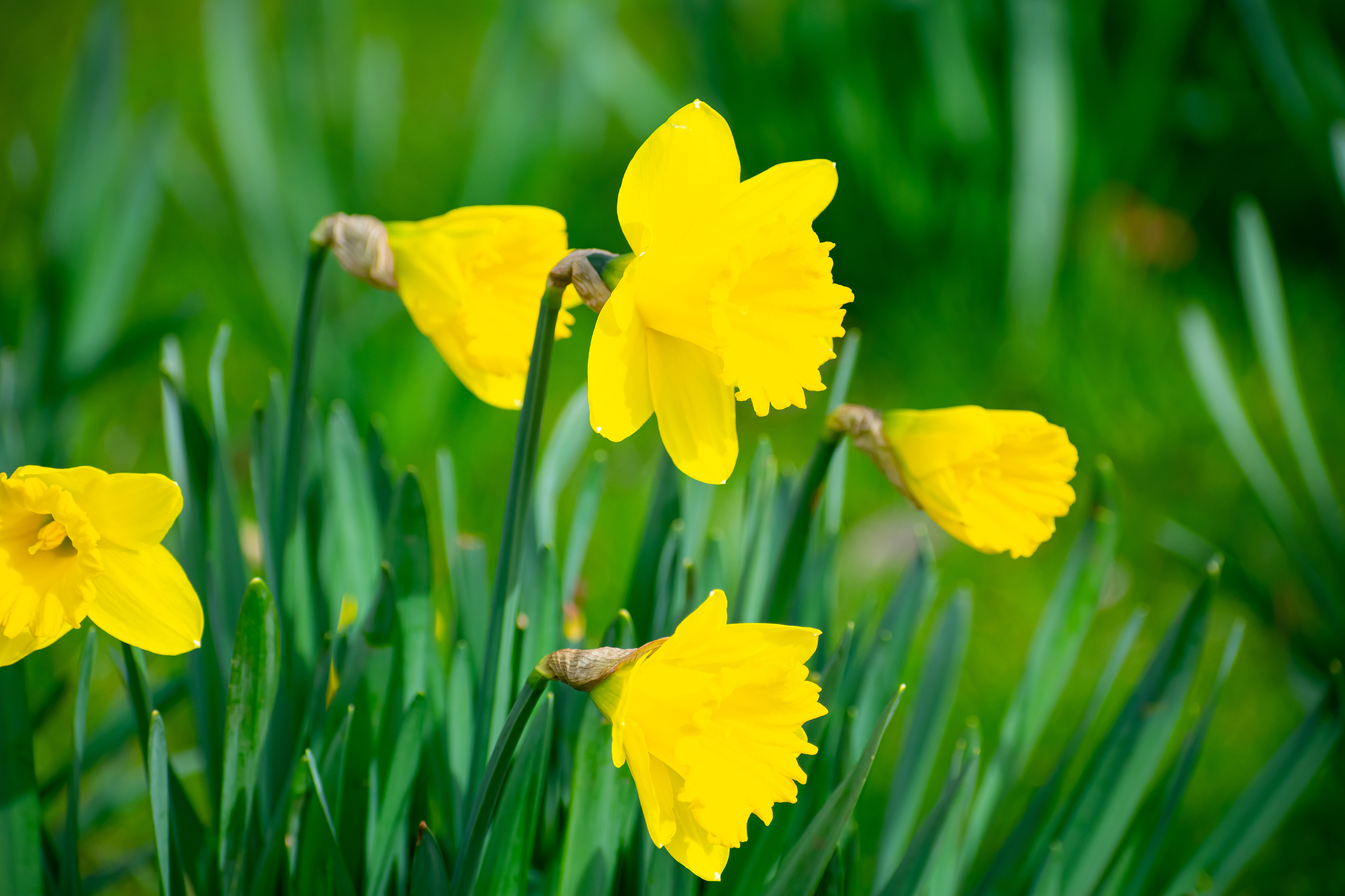 March: Discovering Cupar