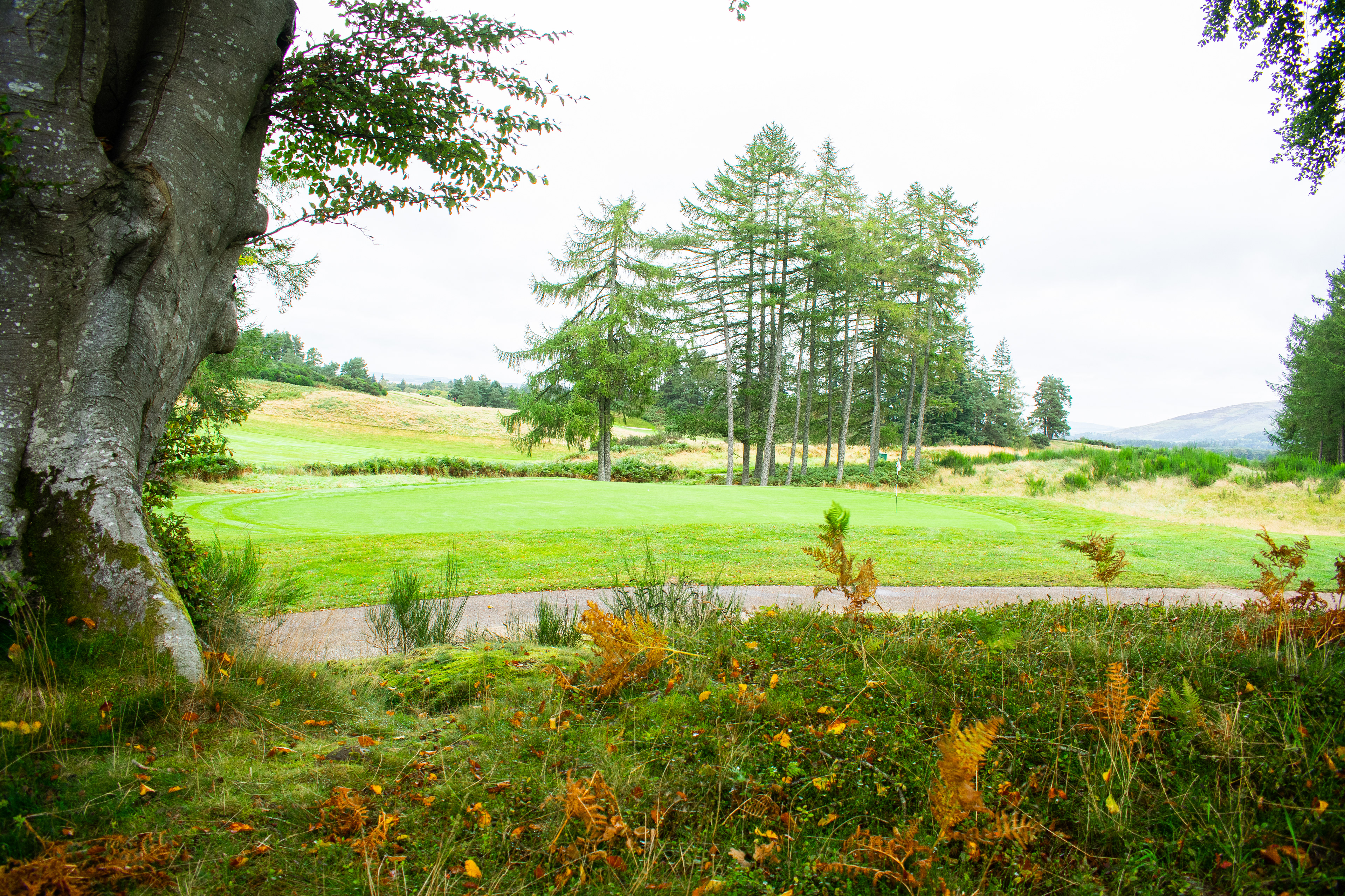 September: Gleneagles