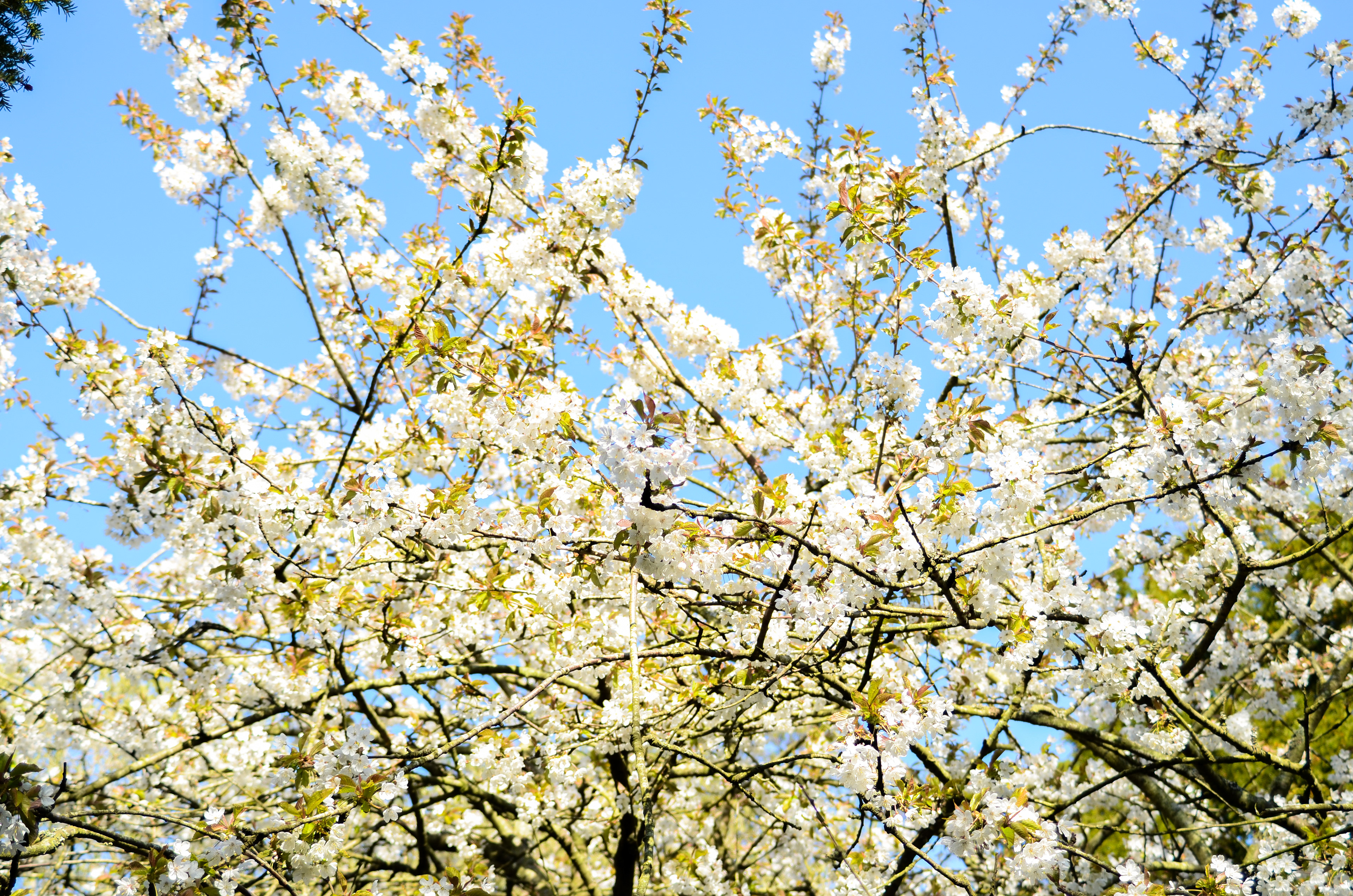 April: Views on my daily exercise