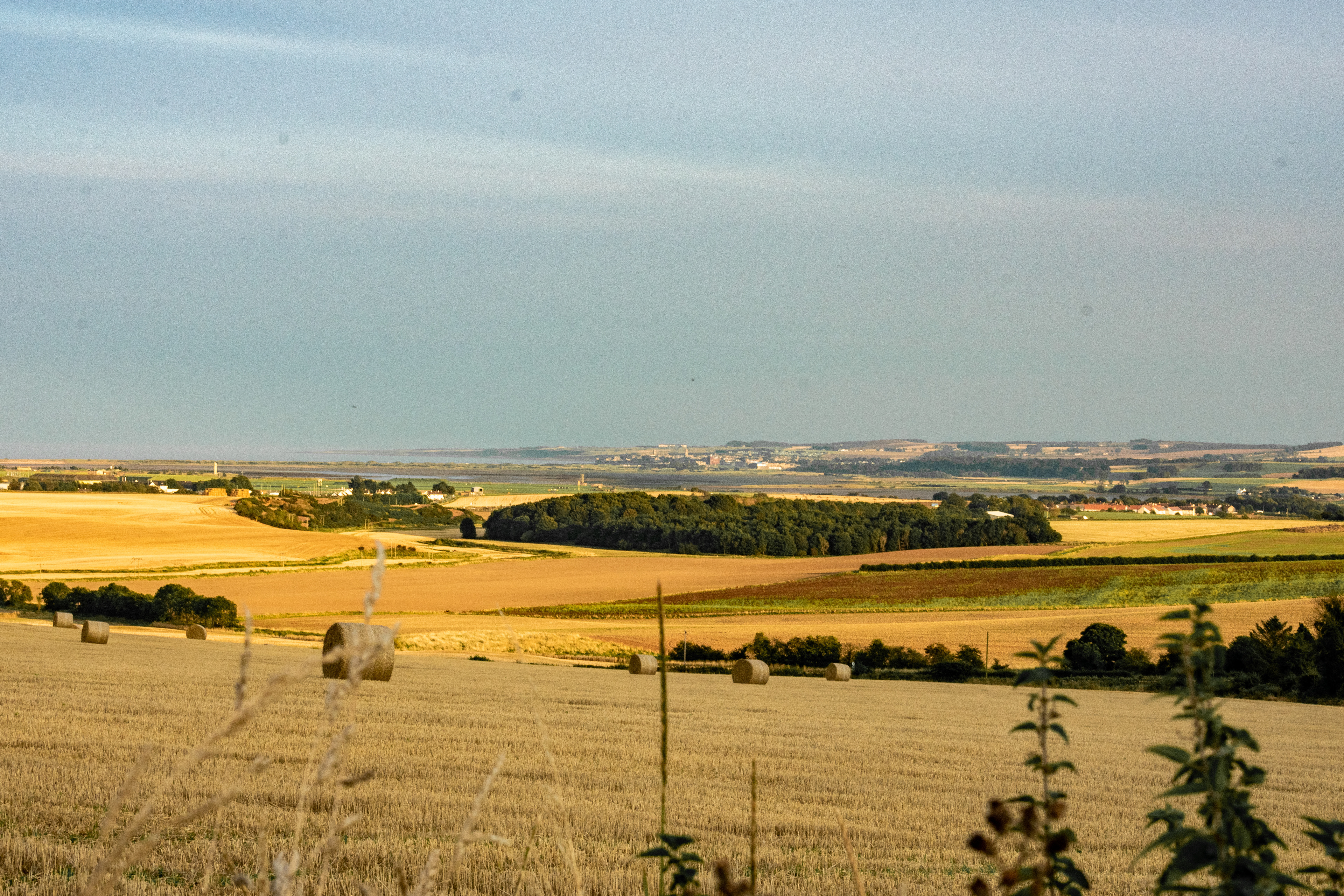 September: Fields of Fife with St Andrews in the distance