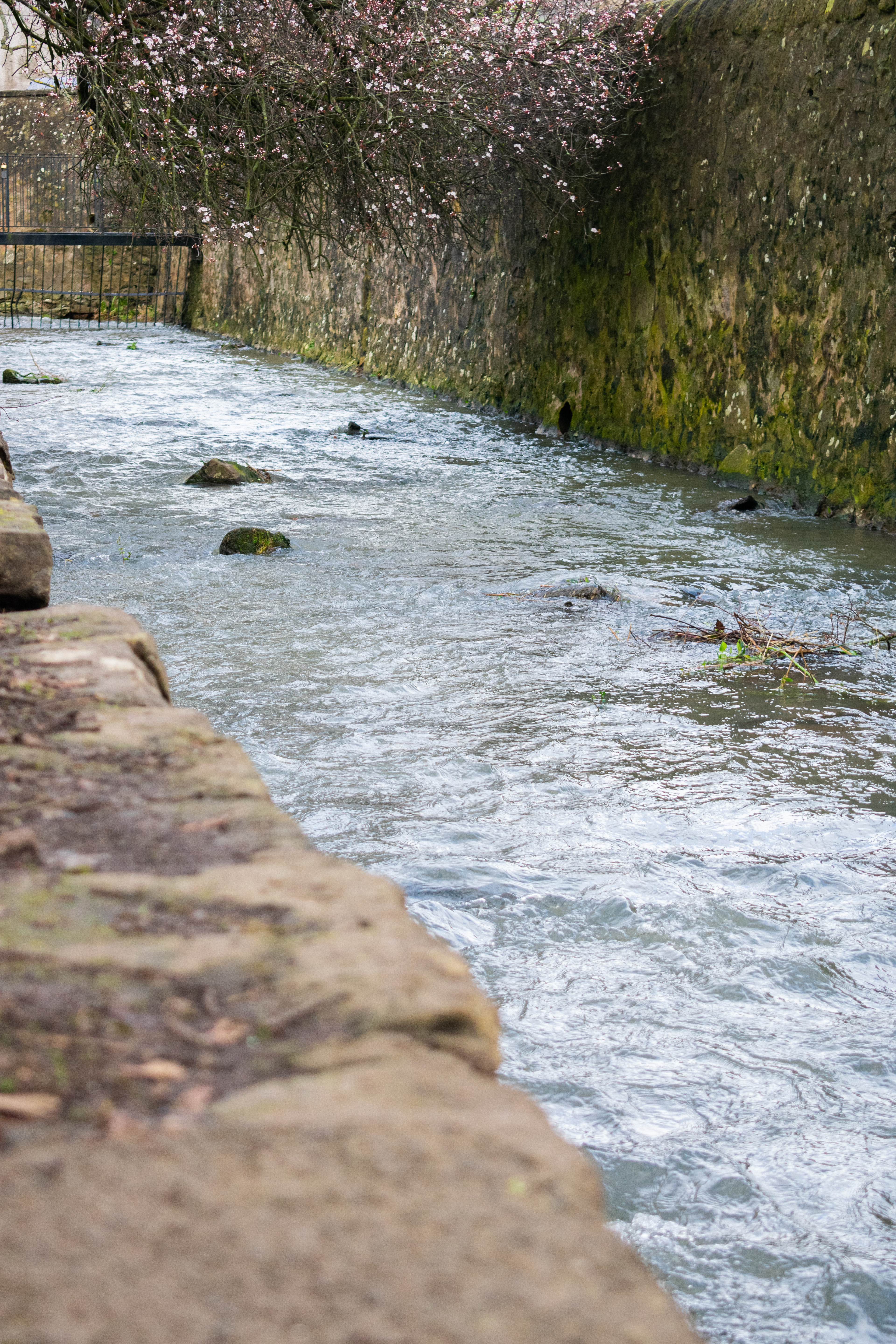 March: Discovering Cupar