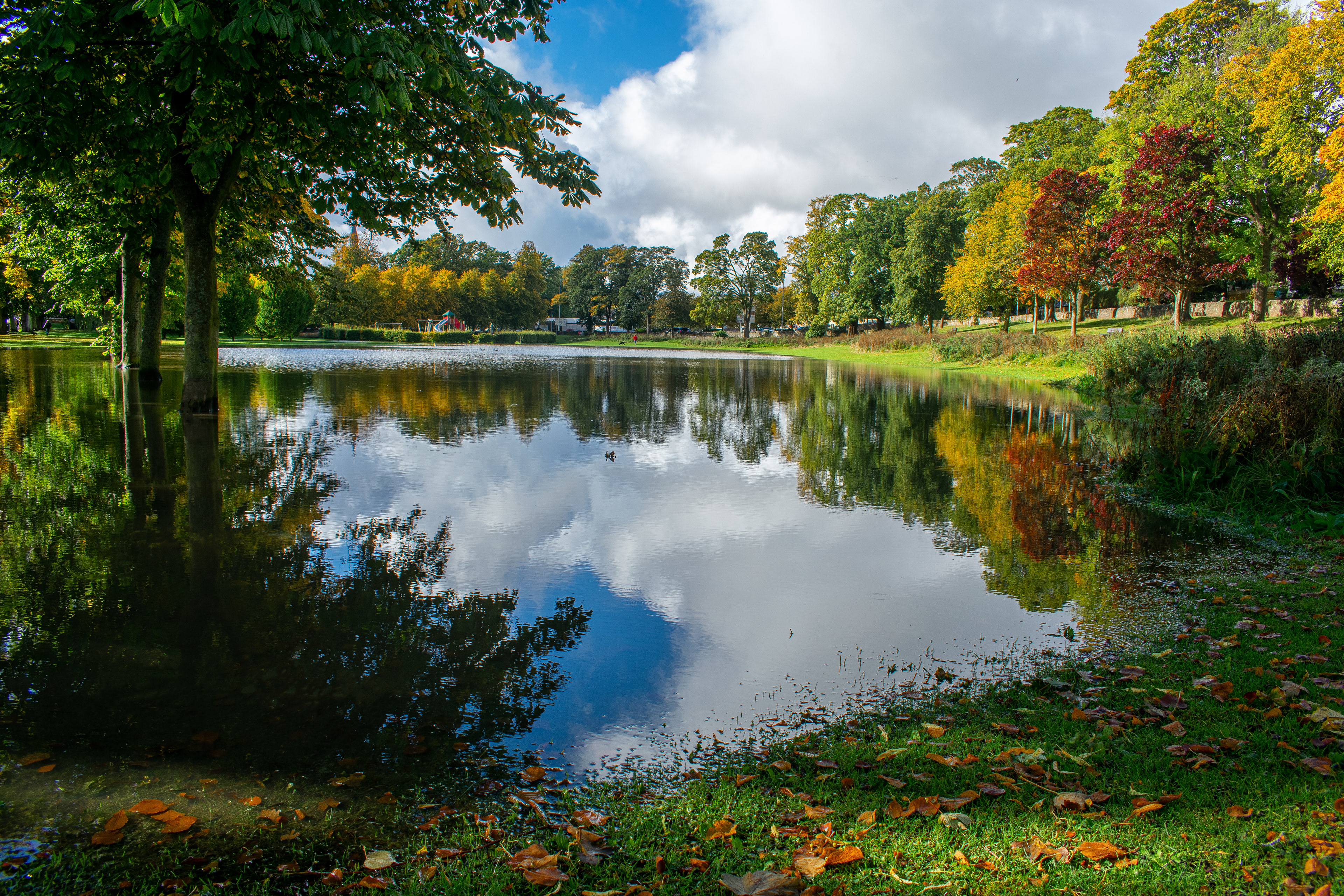 October: Haugh Park floods