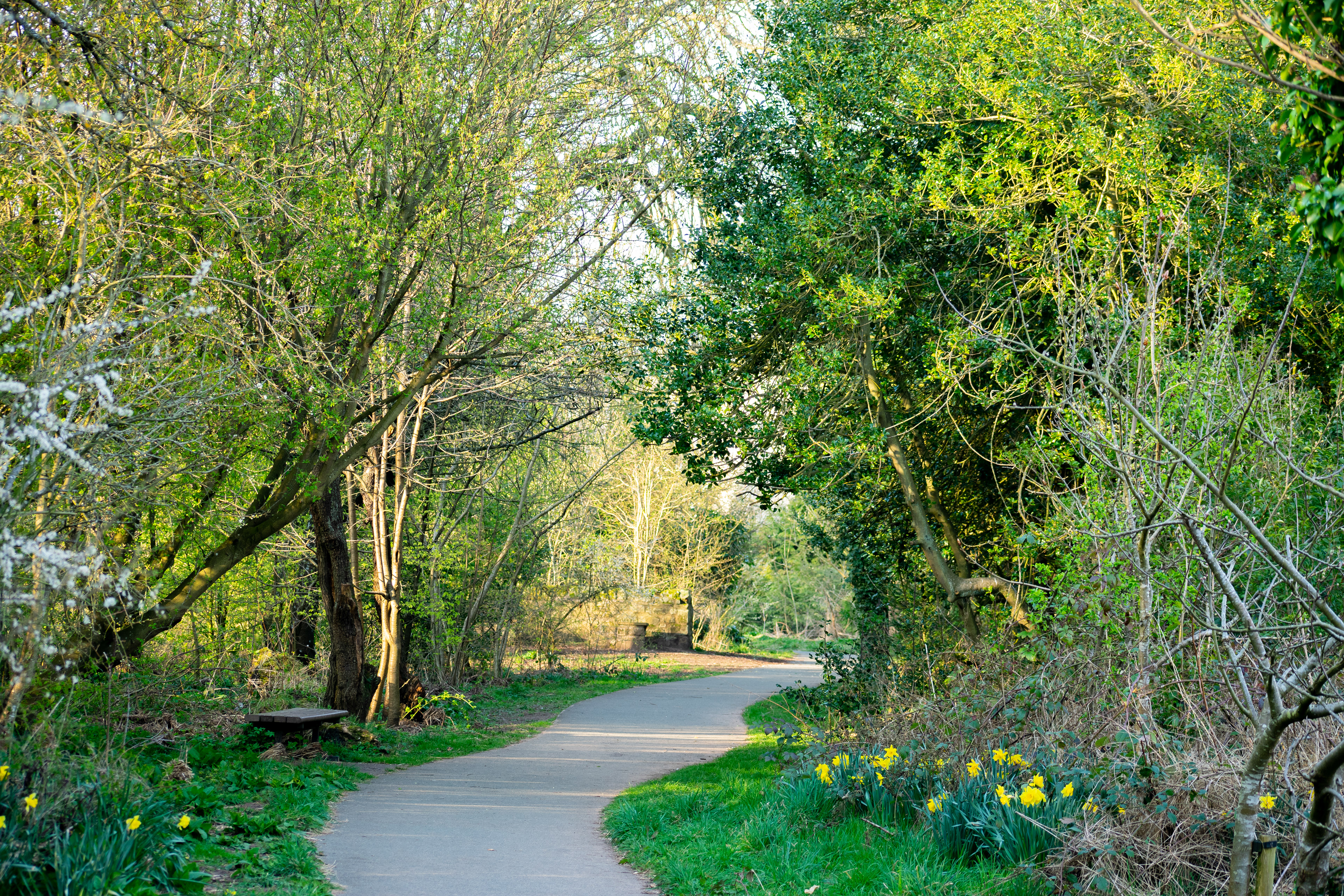 April: Views on my daily exercise