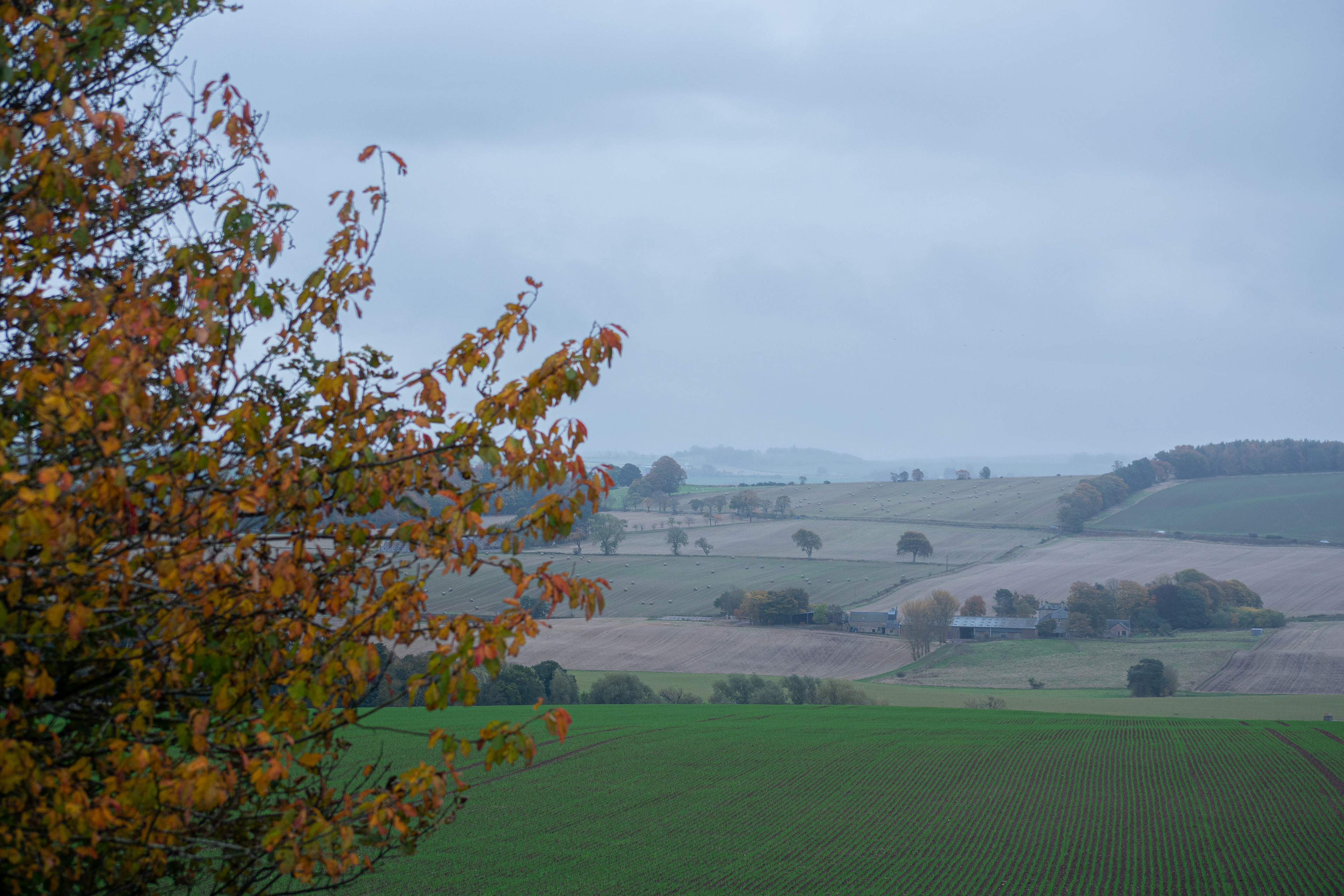 October: Cupar in the mist