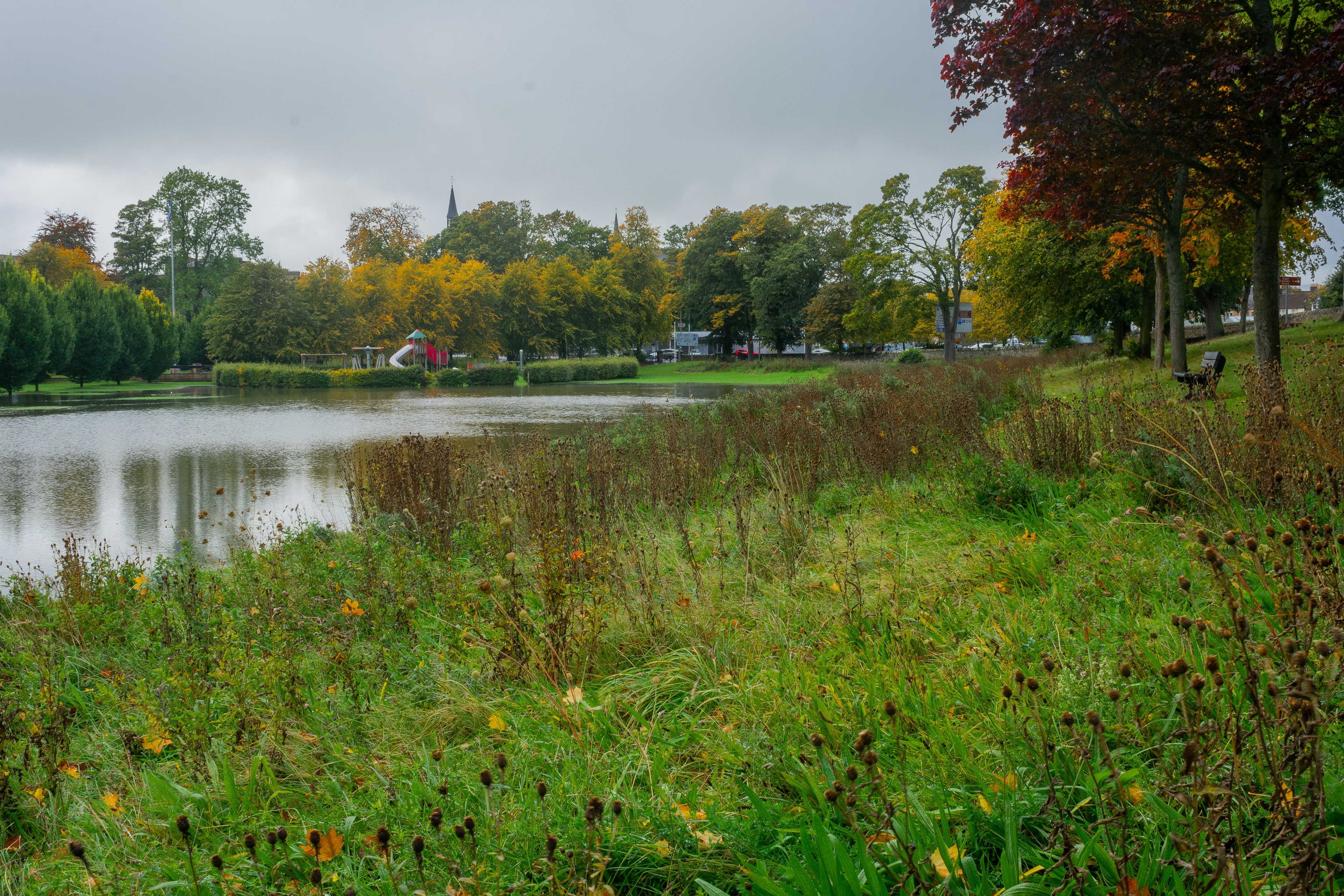 October: Haugh Park floods