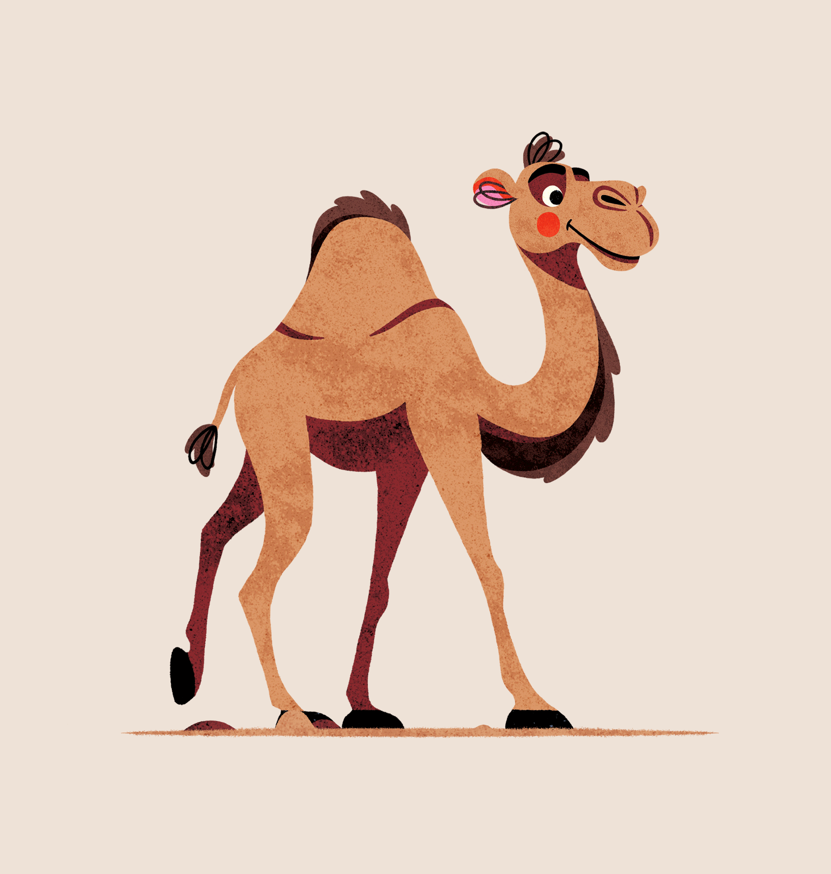 Camel