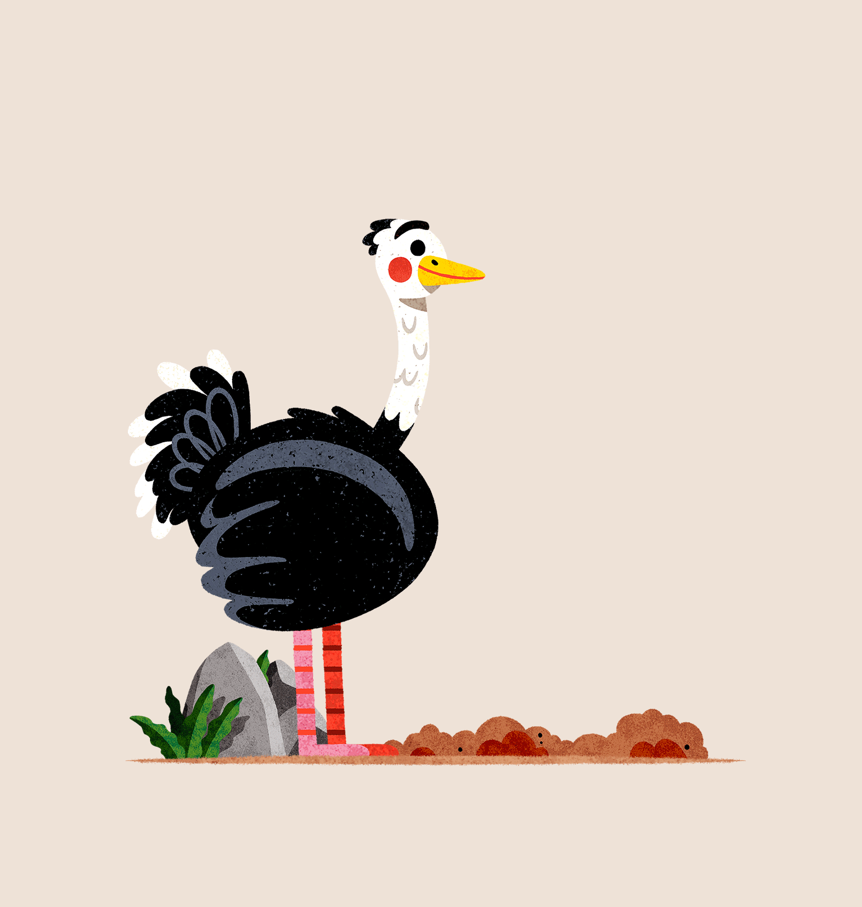 Ostrich