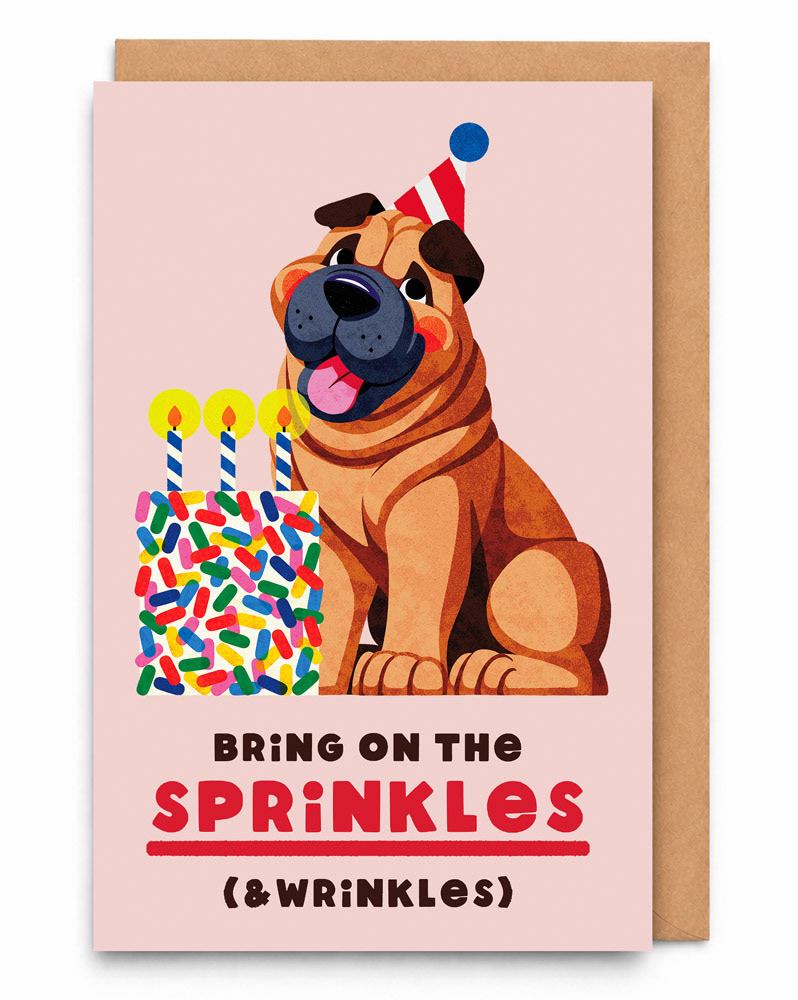 5 - Sprinkles & Wrinkles