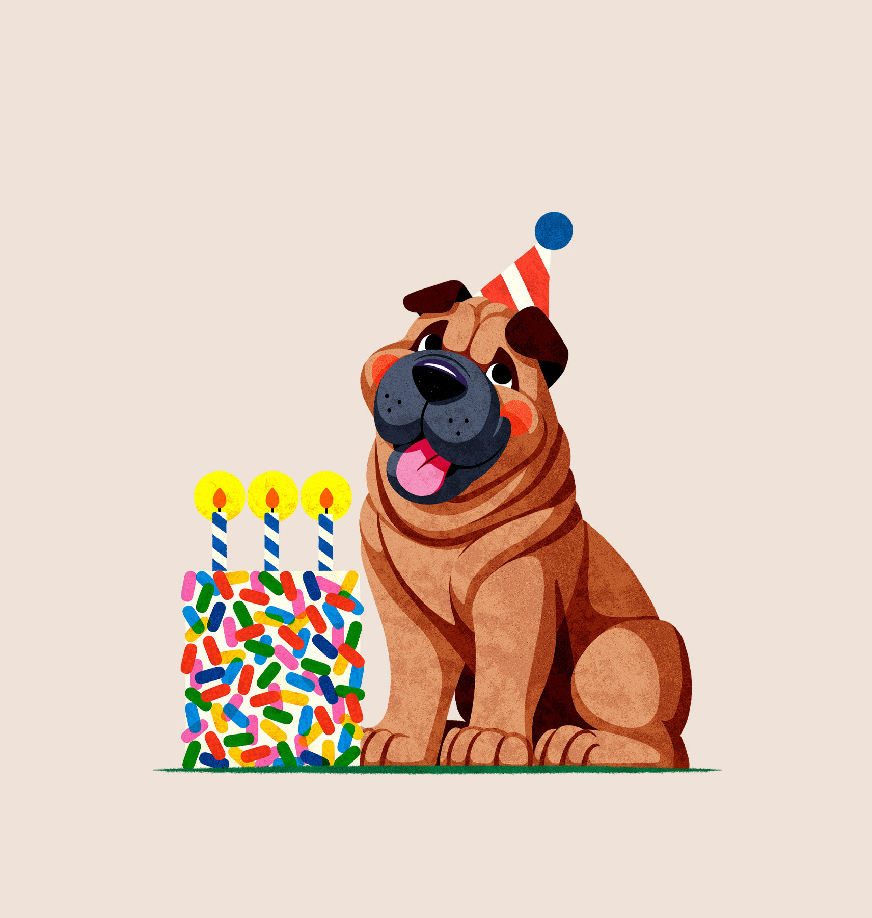 Sprinkles & Wrinkles