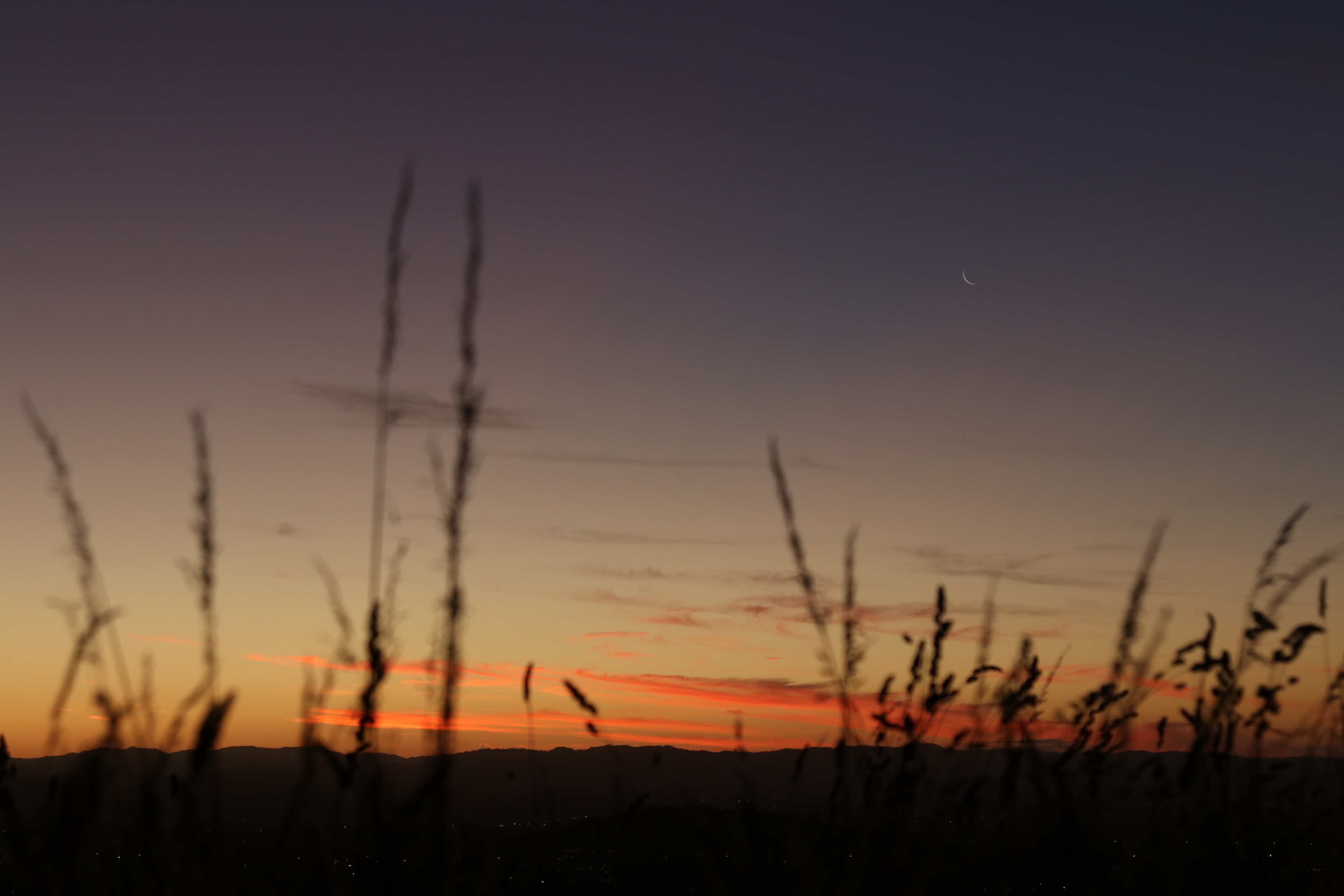 Mount Eden