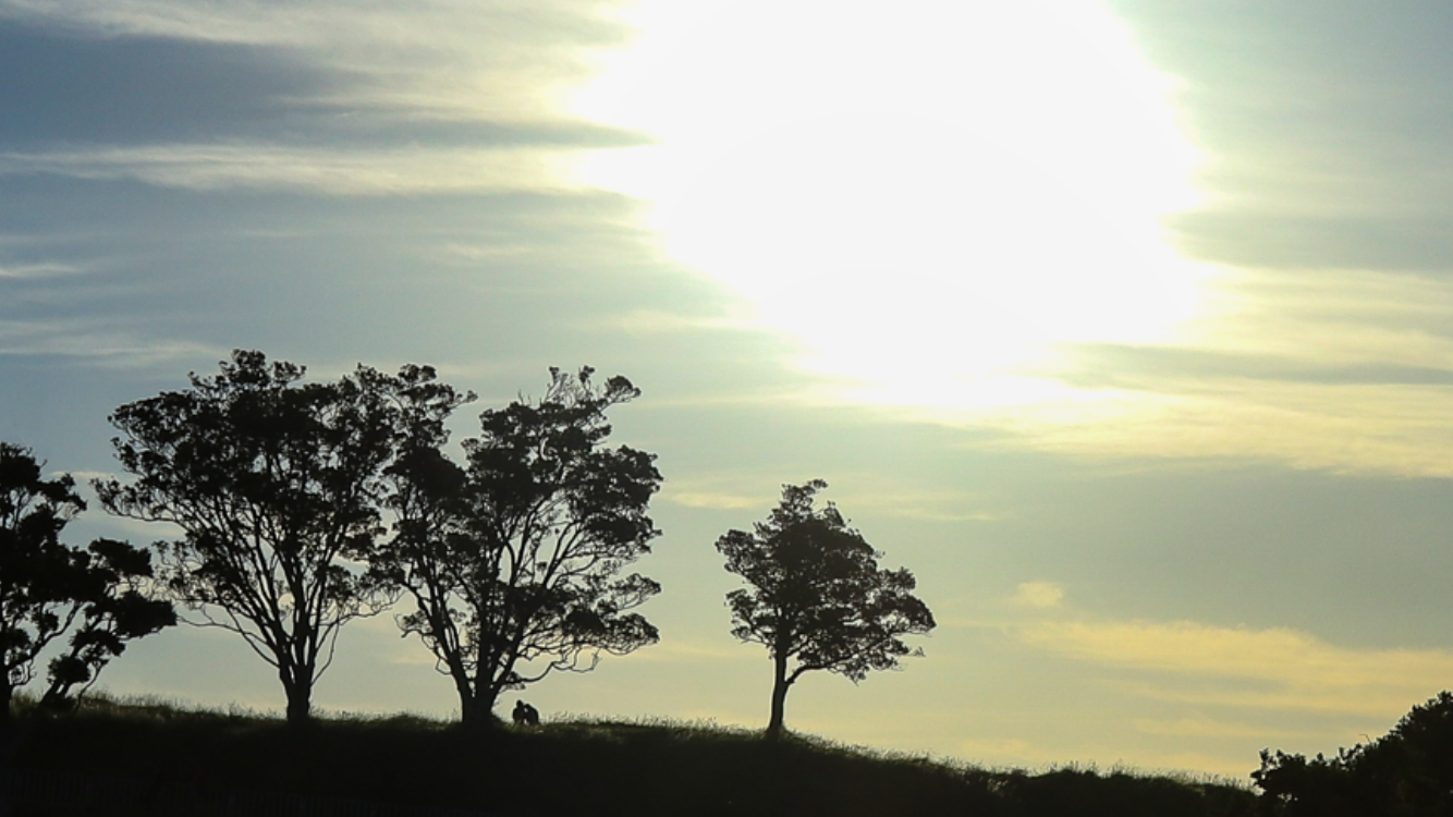 Mount Eden