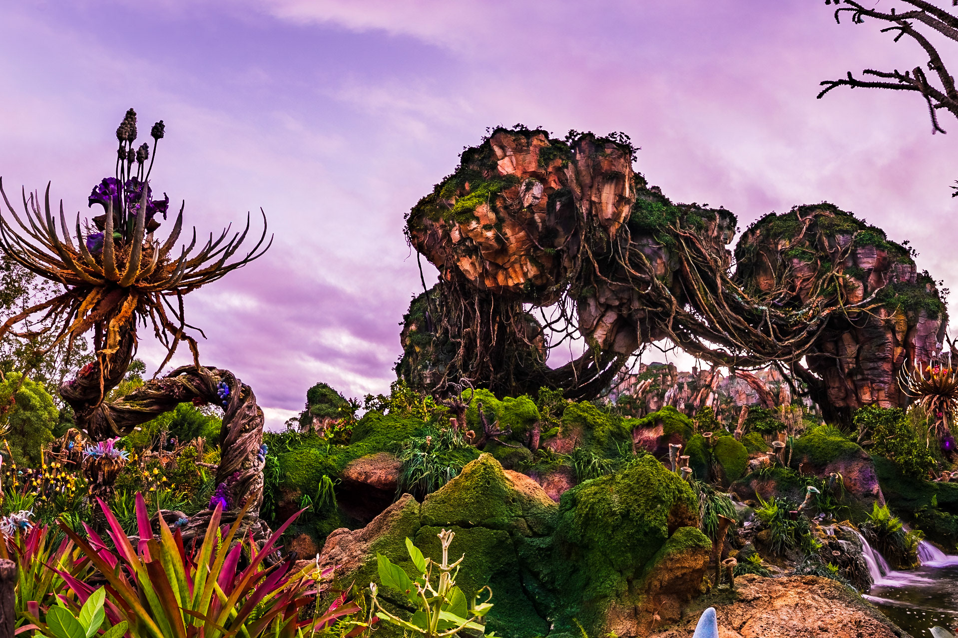 Pandora at Dusk