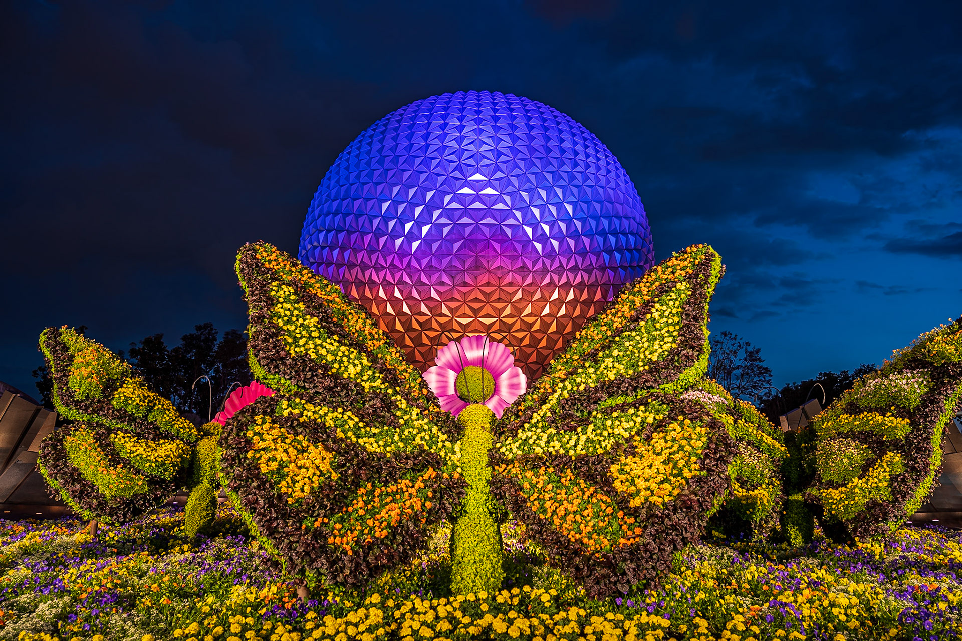 Garden Festival and SSE