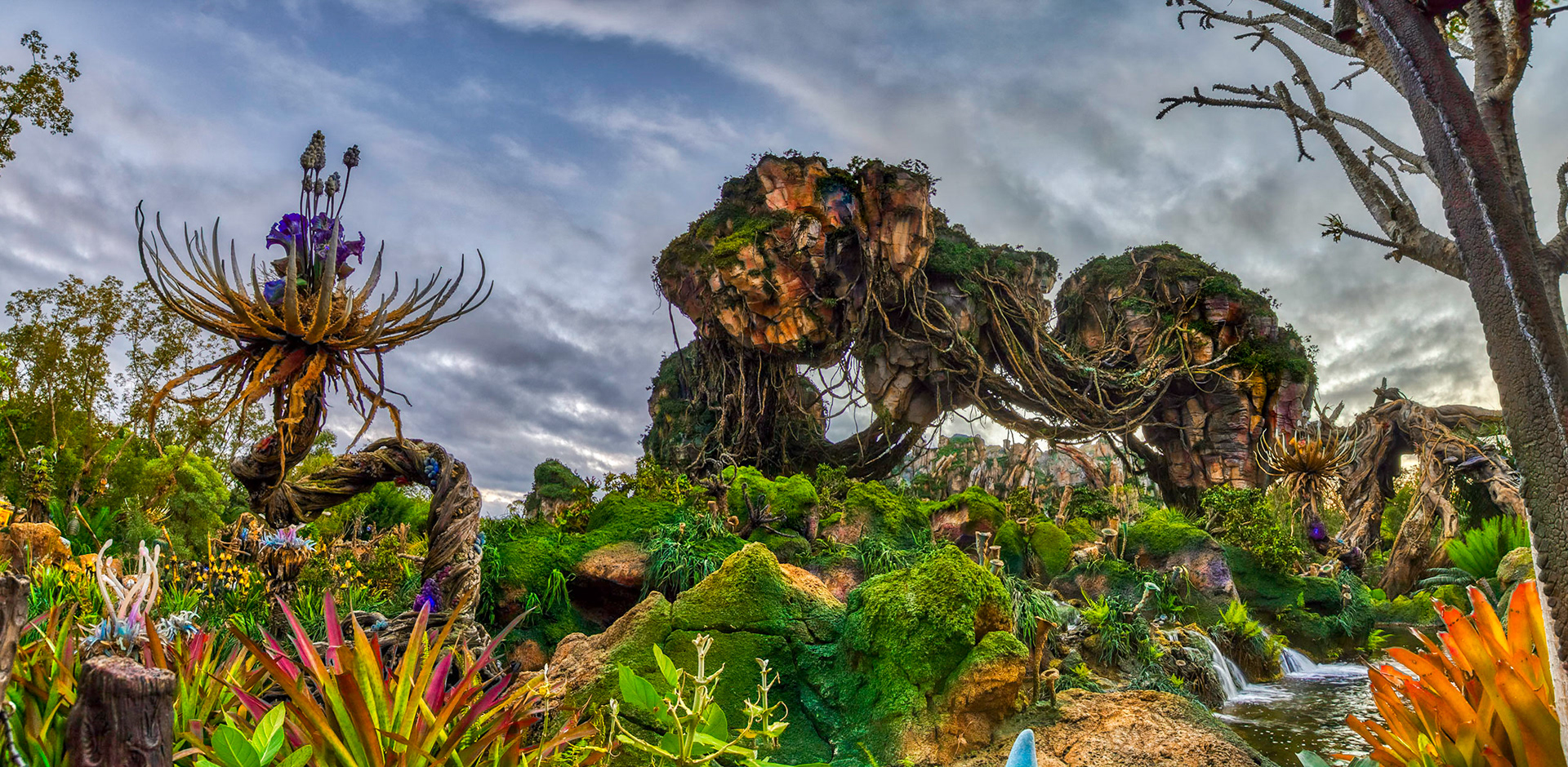 Pandora Pano Blue