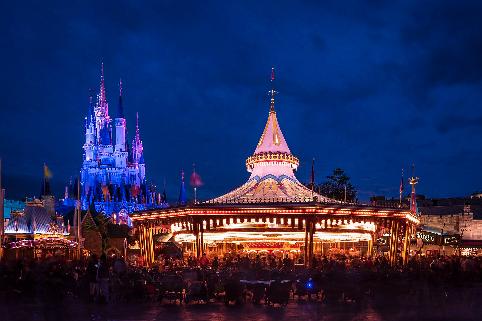 DW Carousel Motion