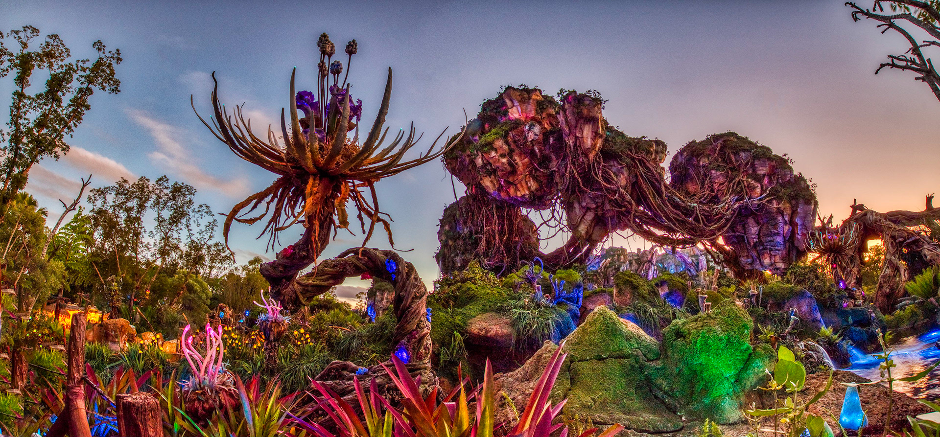 Pandora Pano Golden Hour