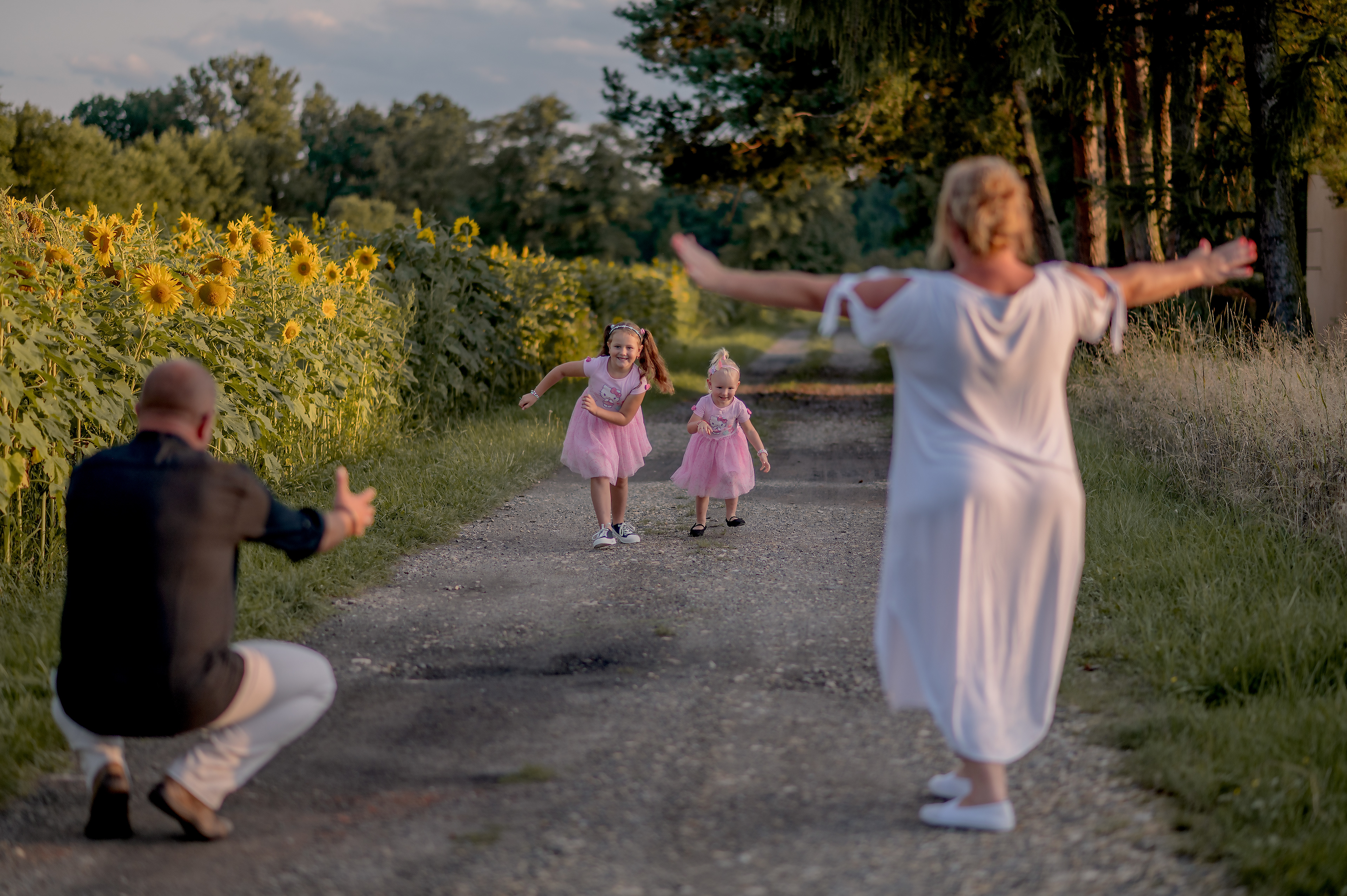 sesja słoneczniki Strumień