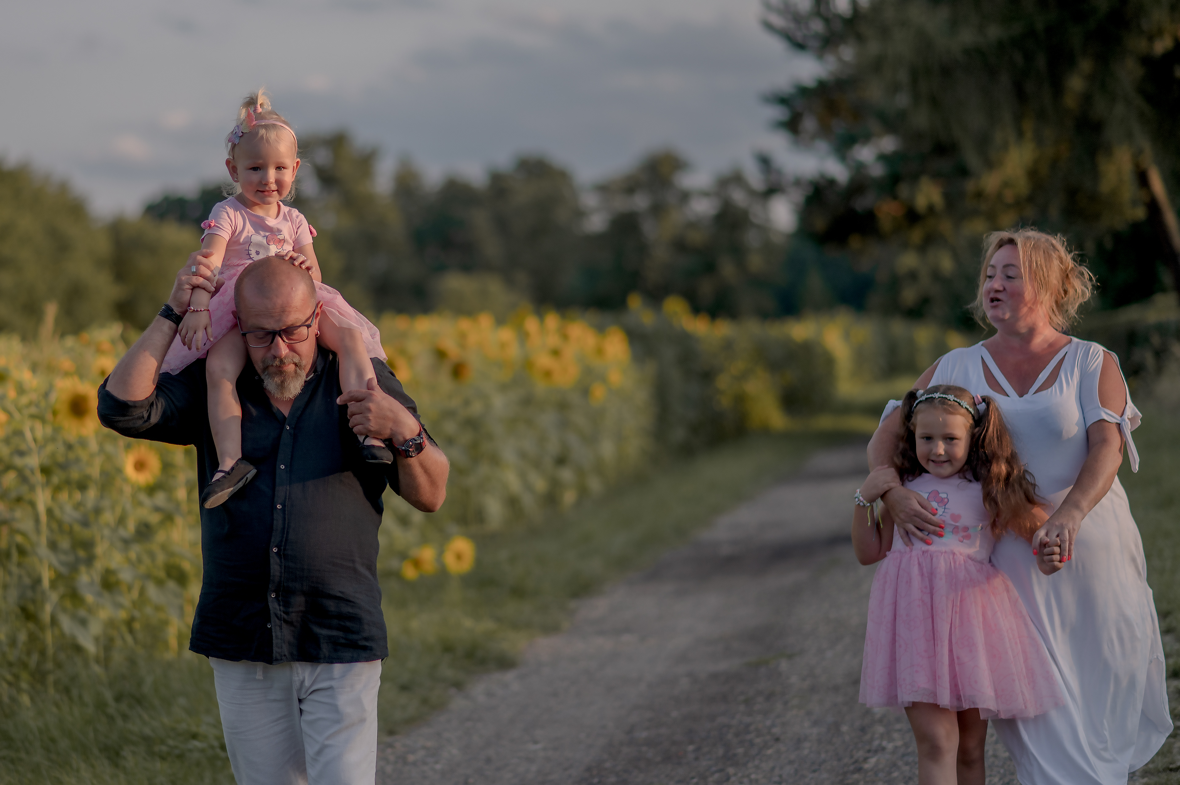 sesja z dziadkami w słonecznikach Skoczów