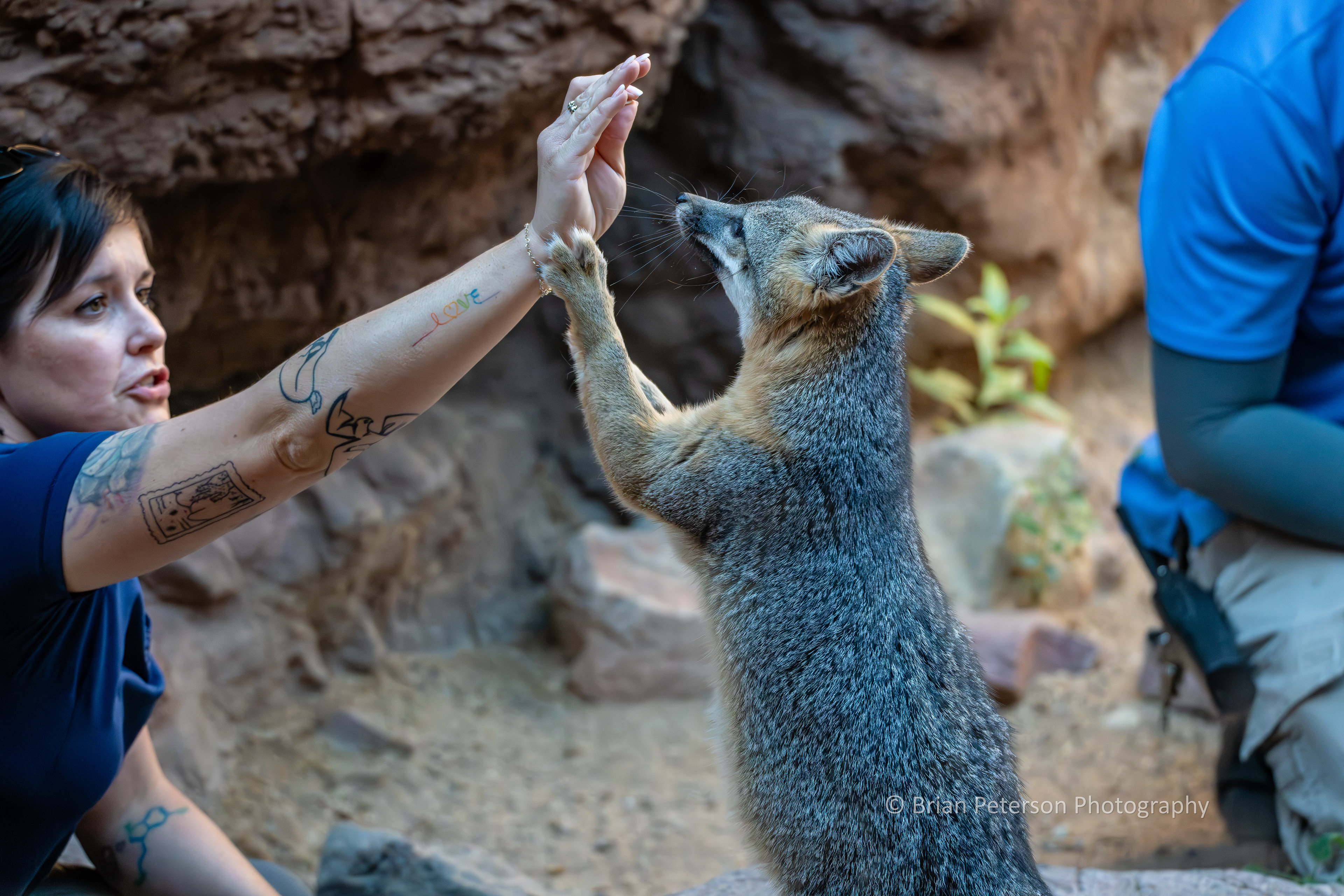In an enclosure, through glass, low light.