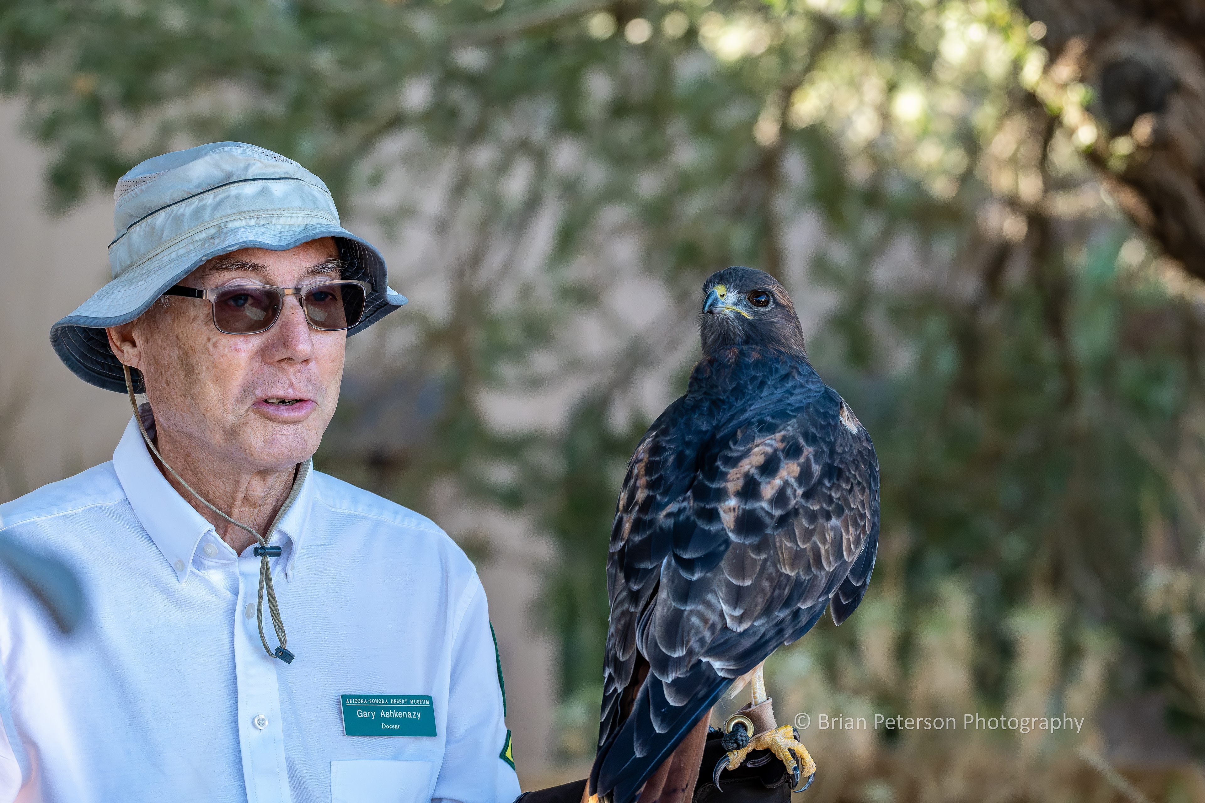 Docent with a red-tailed hawk.