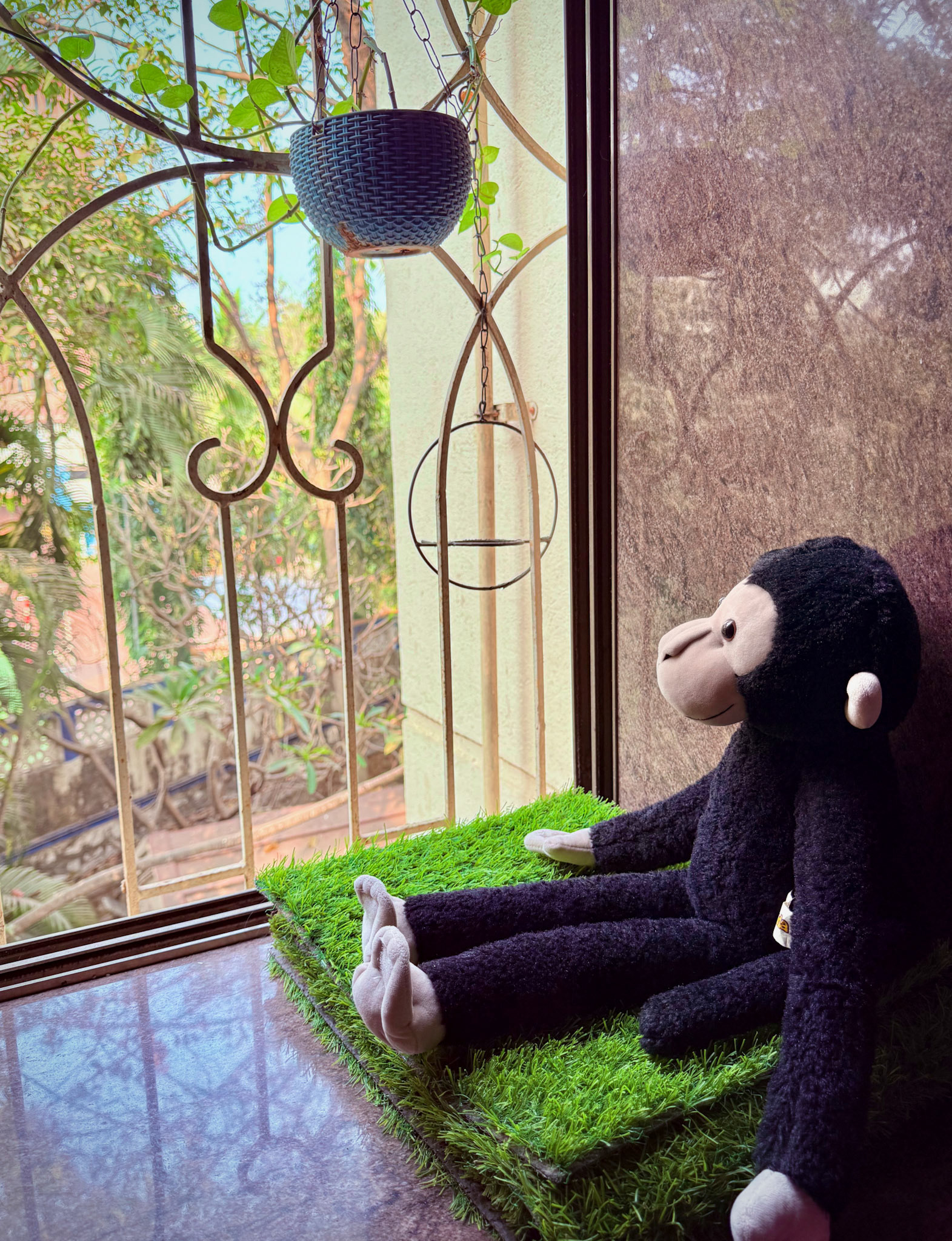 Bandru enjoying a Sunday afternoon.