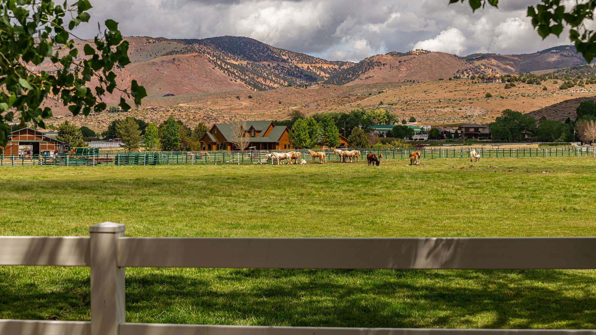 Horses in a fenced pasture in Pleasant Valley Nevada.