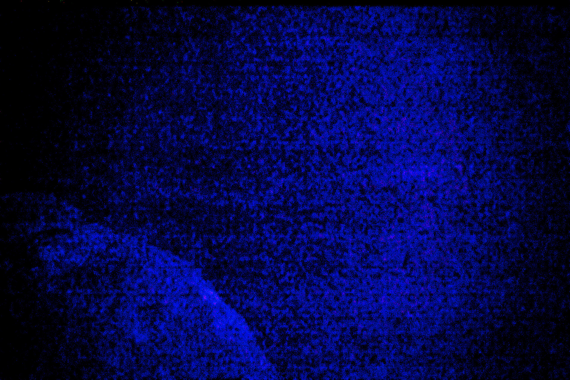 Abstract #14