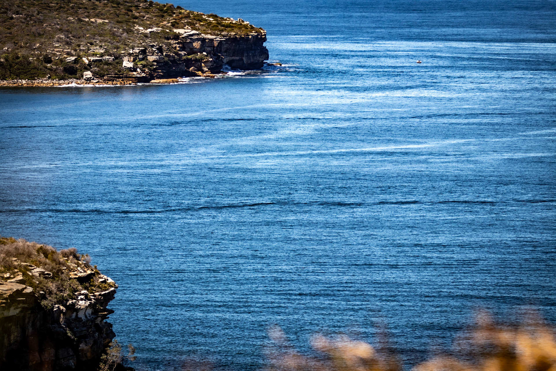 Ocean &amp; Land #1