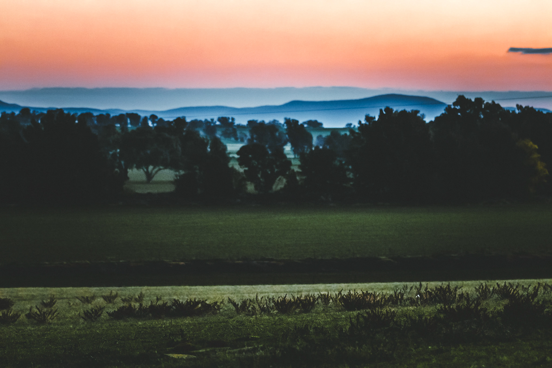 Landscape #3