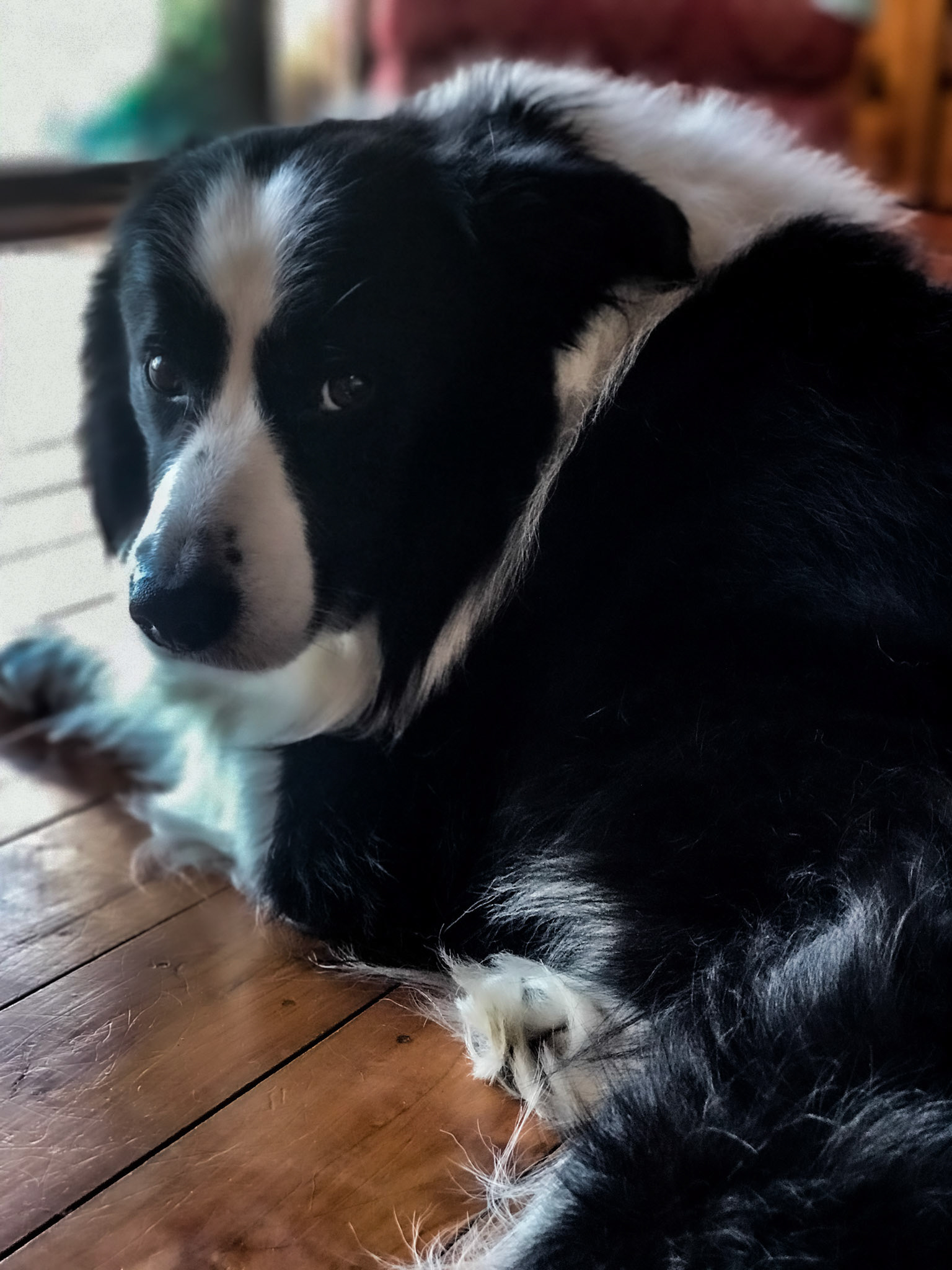 Zac