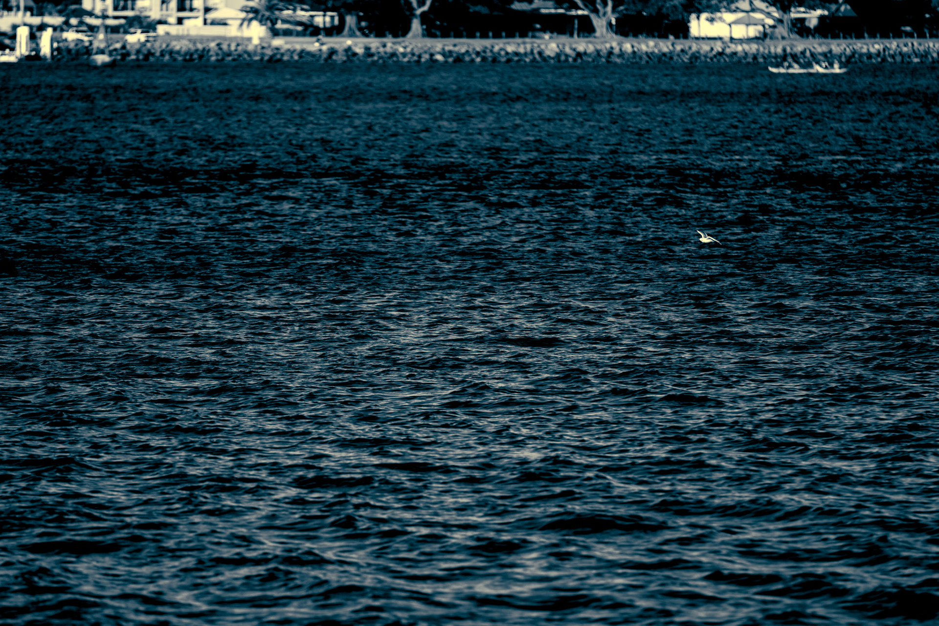 Land &amp; Water #5