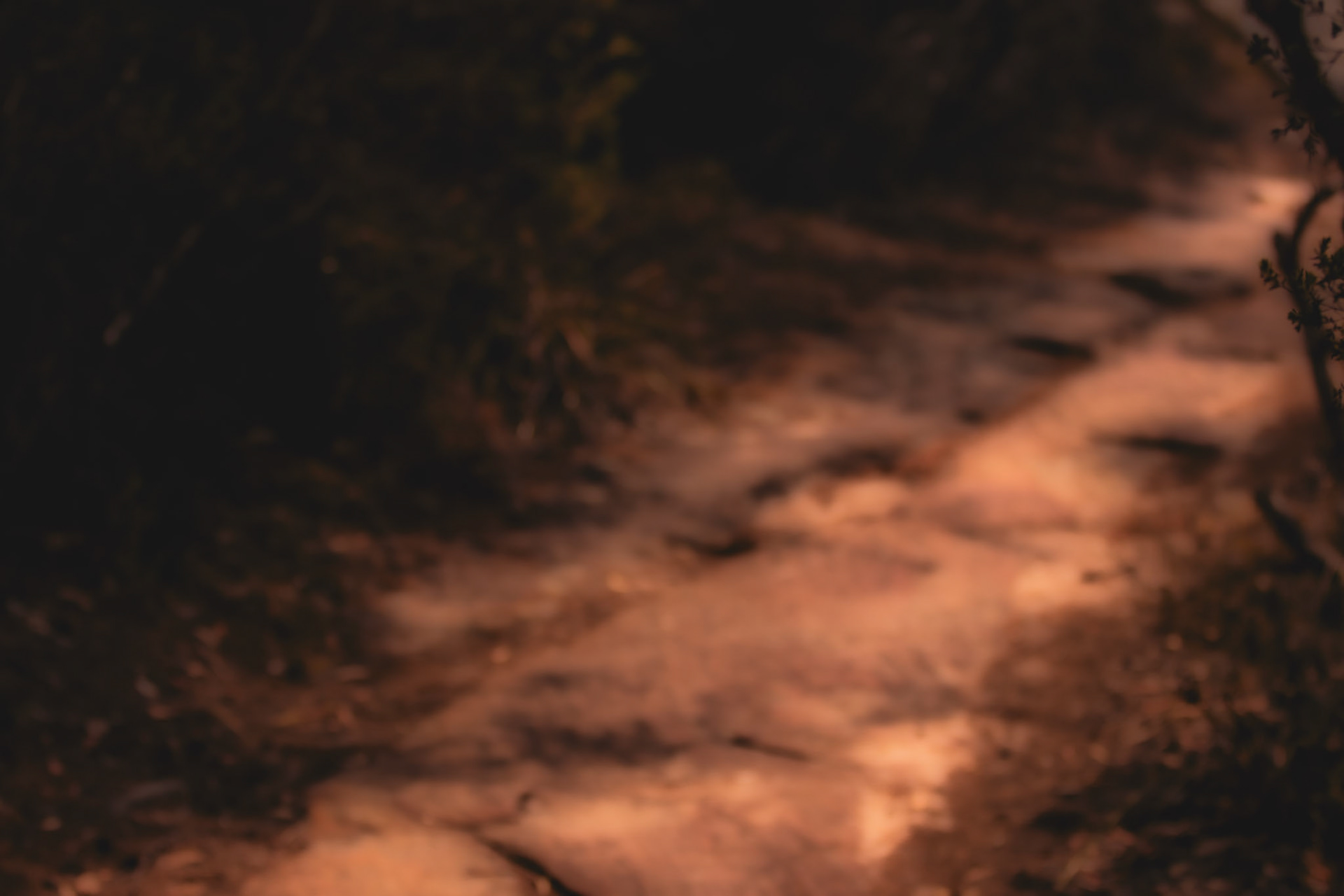 Blurry #3
