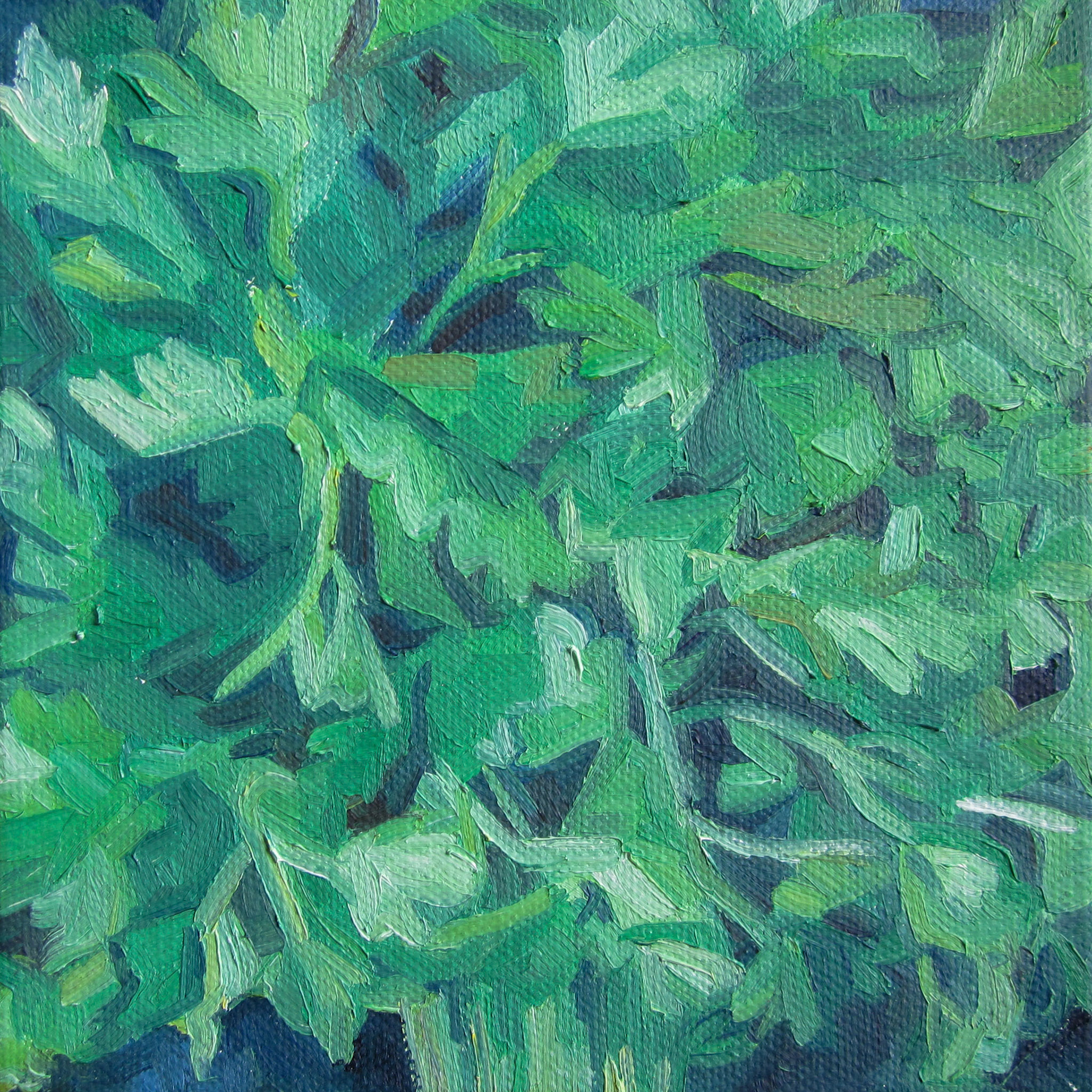 "Parsley" - 8x8", oil on canvas, 2019
