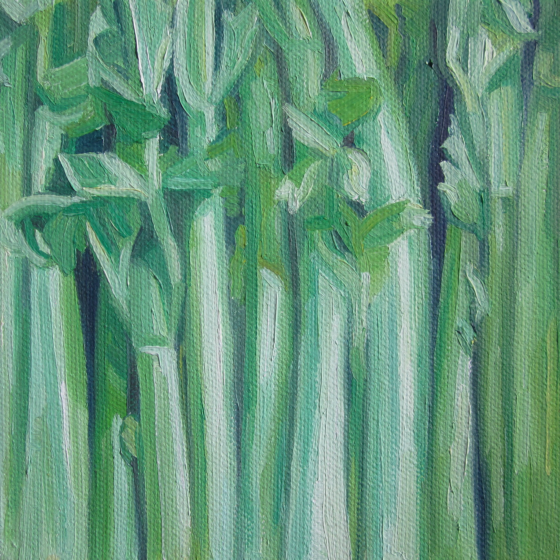 "Celery" - 8x8", oil on canvas, 2019