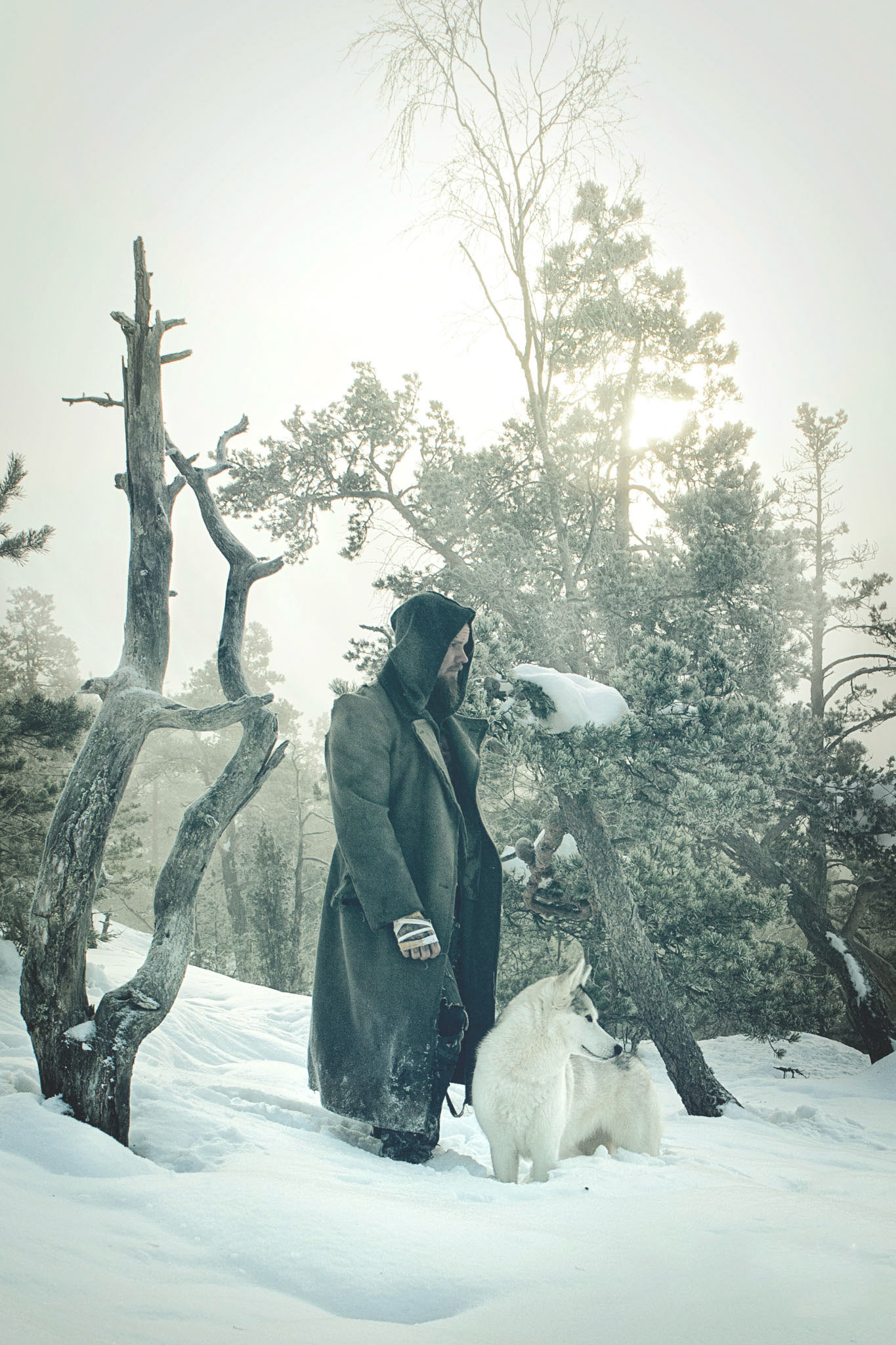 Promotional shot for Wolfheart