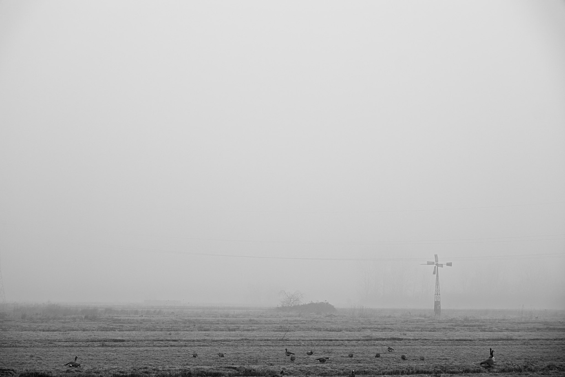 X-T5