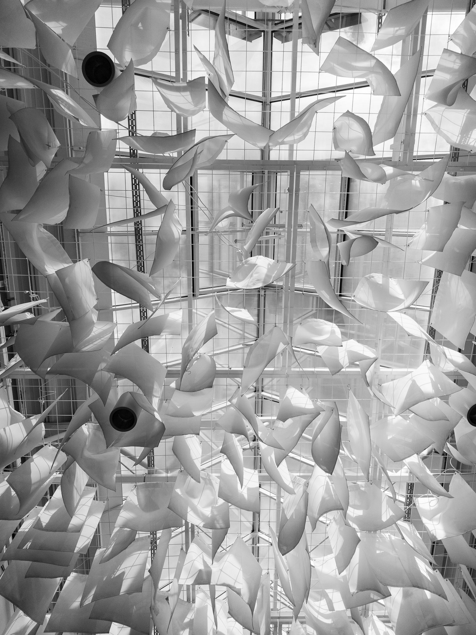 Deckendeko - Pro15Max