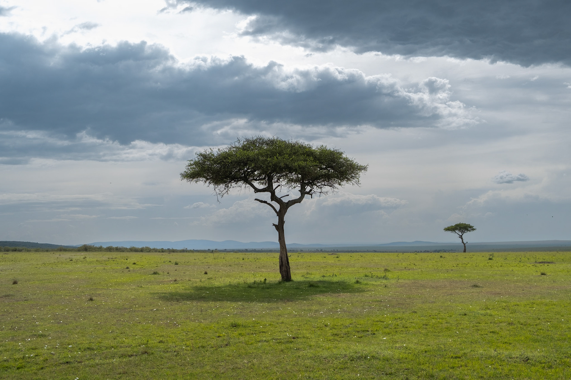 Masai Mara National Reserve