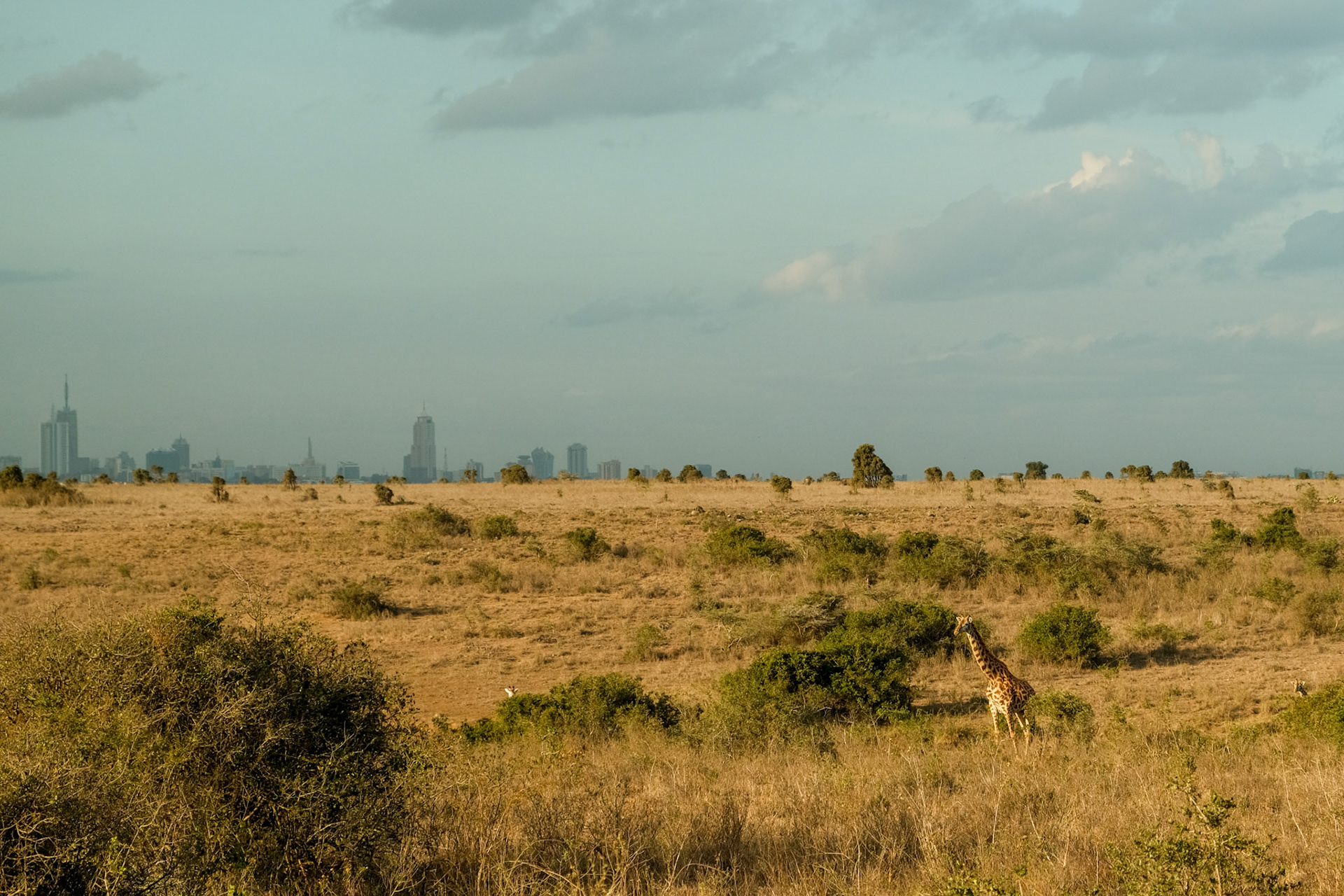 Nairobi National Park