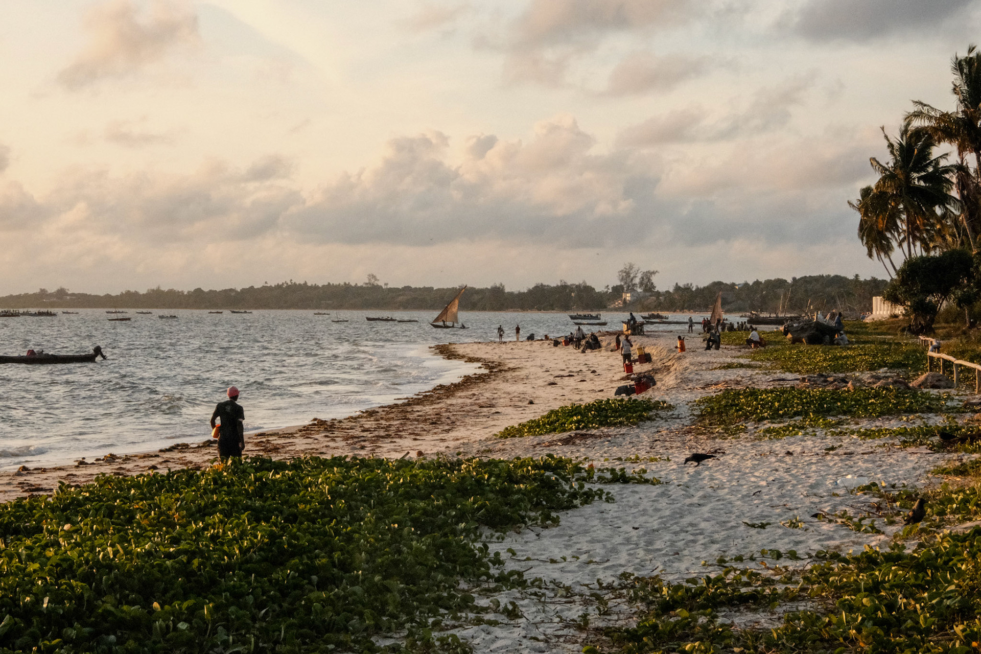 Bagamoyo beach