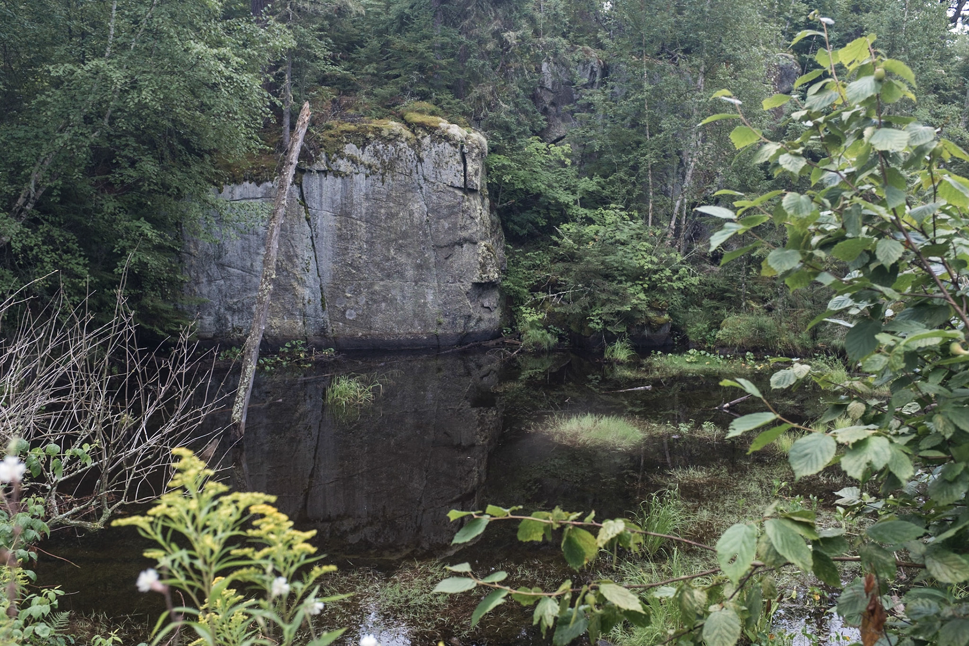 Lake One,, Kawishiwi River, Ely, MN