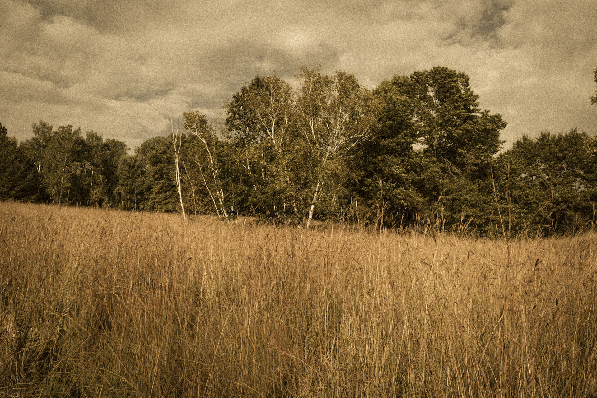 Leganon Hills Regional Park, Dakota County, Minnesota, 2025-4997