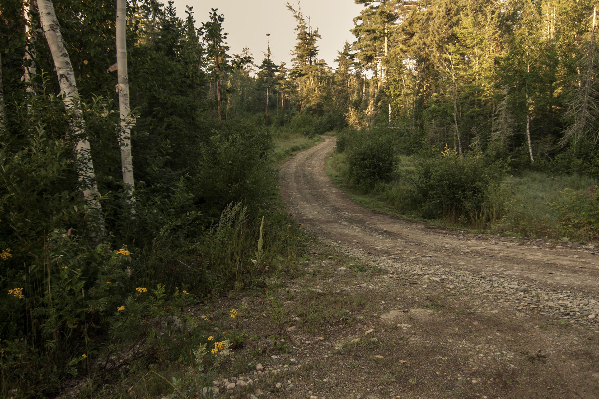 Lake One Road, Boundary Waters, Minnesota
