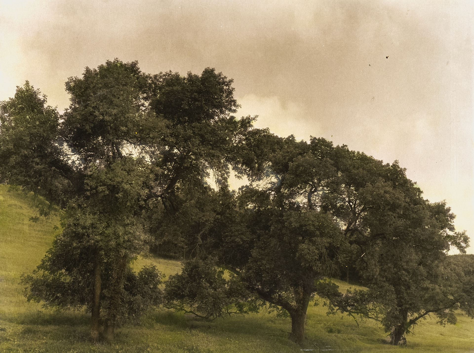 O'Brien County, Iowa