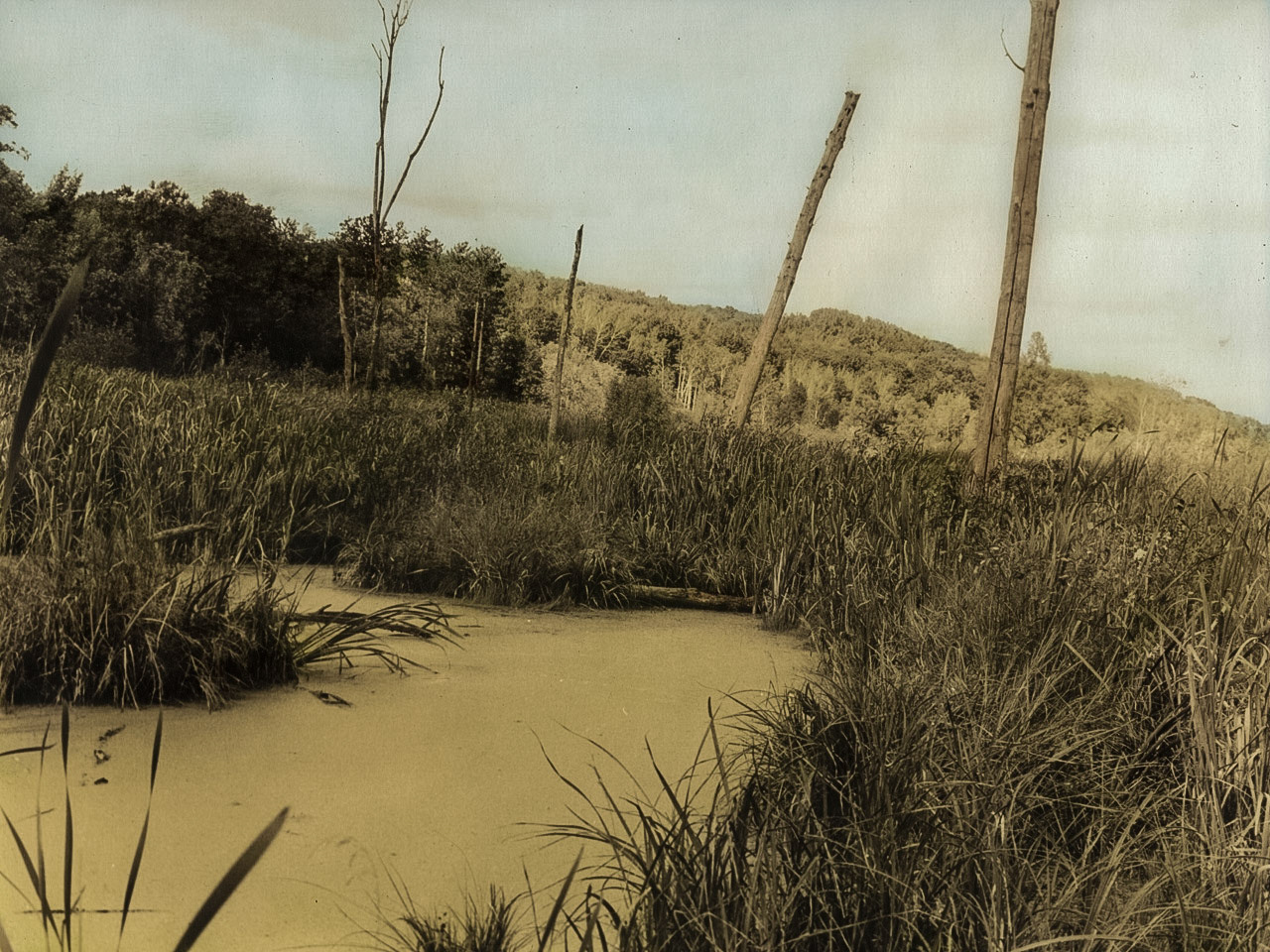 Landscape, Minnesota