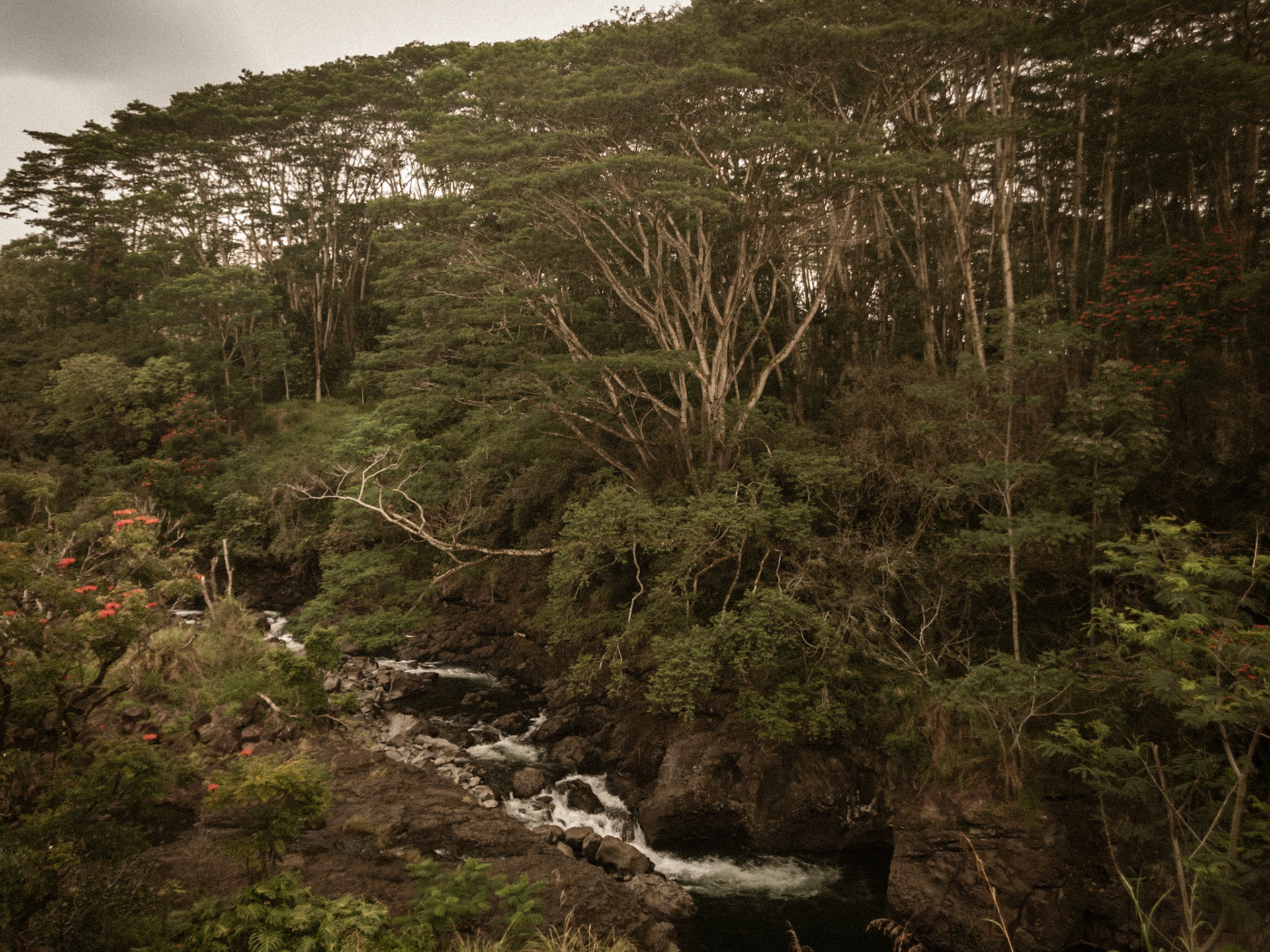 Boiling Kettles, Hilo, 2018-1146