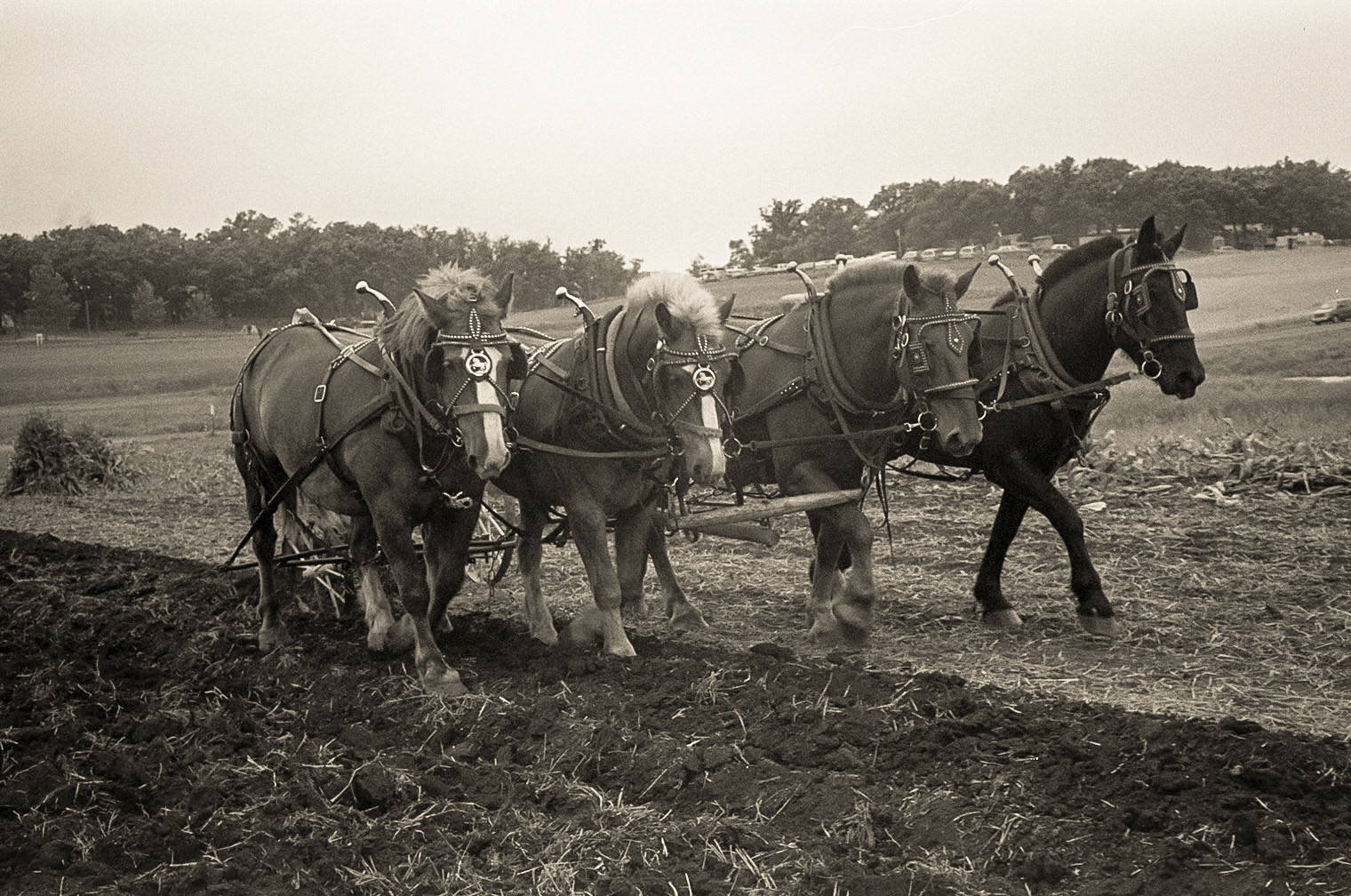 Western Minnesota Steam Threshers Reunion, Rollag, Minnesota, 1994-16-36