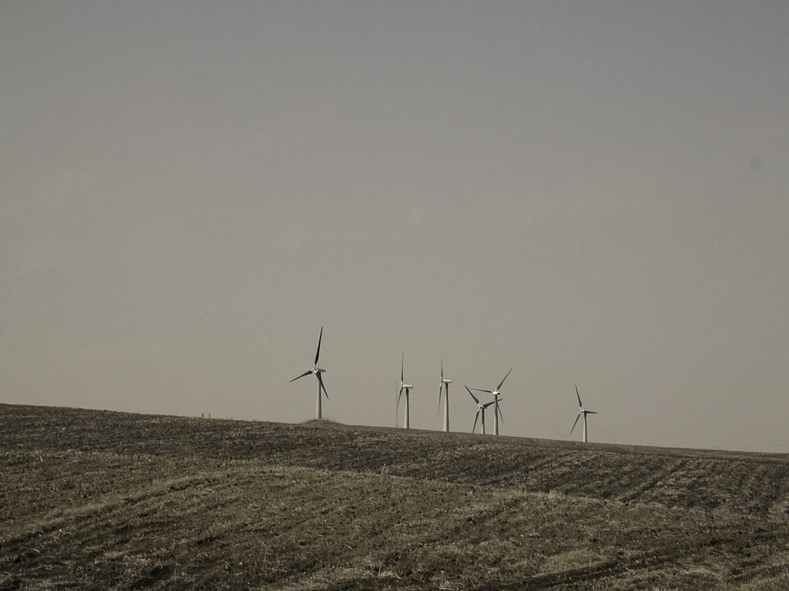 Earth Day, Rock County, Minnesota
