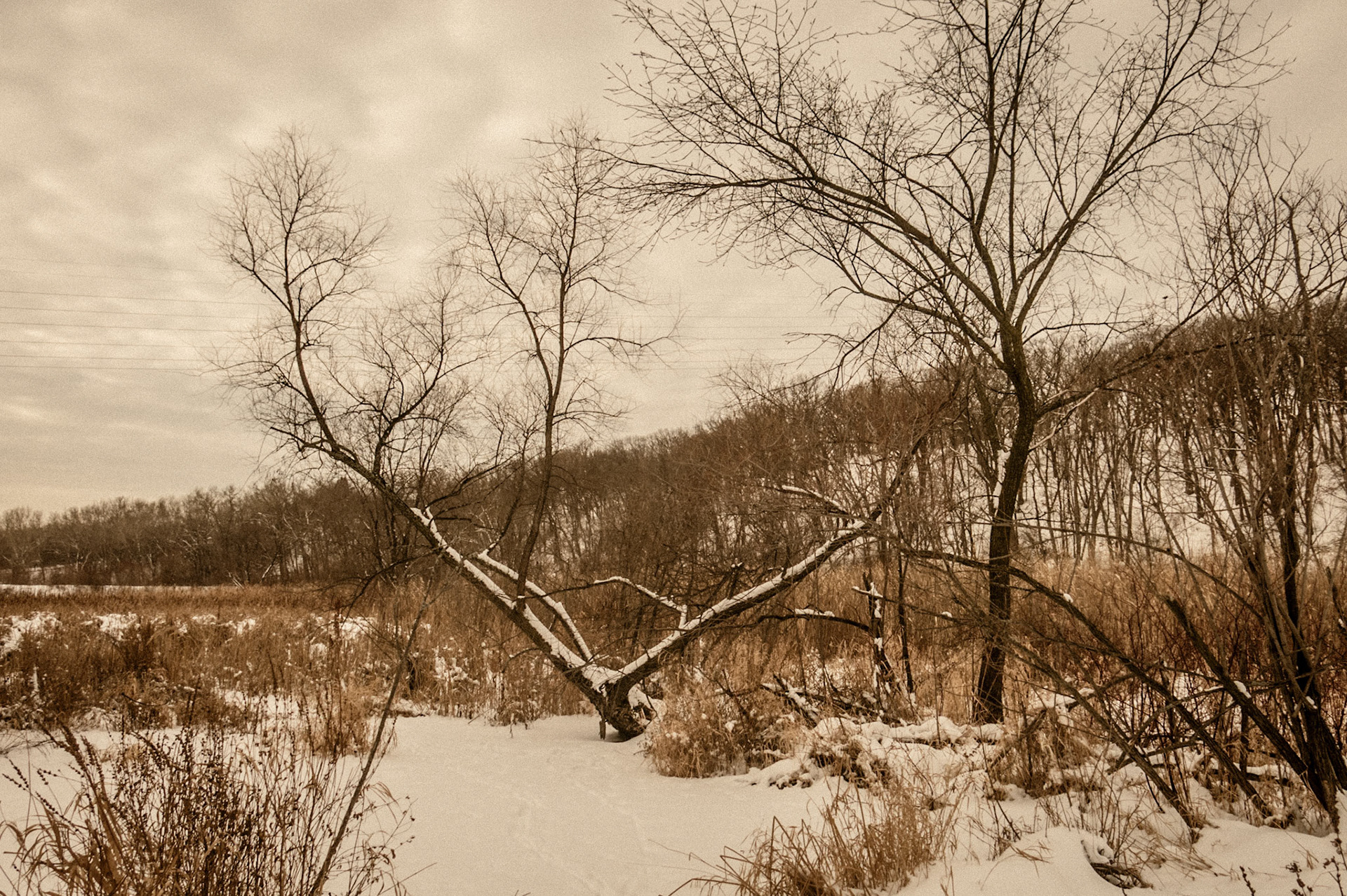 Fort Snelling State Park, 2014-0265